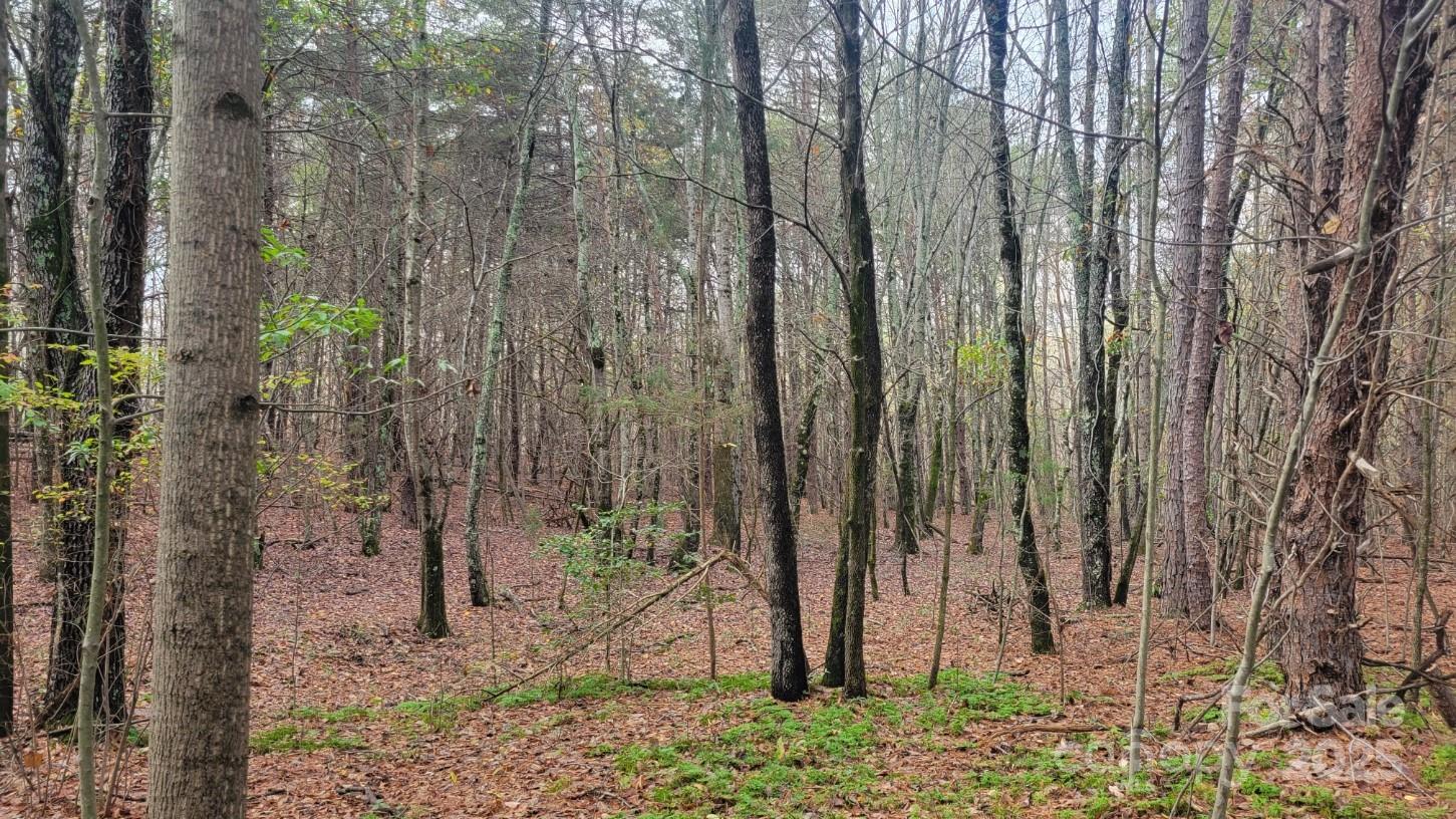 0000 Indian Creek Road Property Photo 4