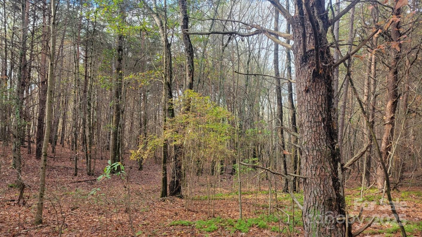 0000 Indian Creek Road Property Photo 5
