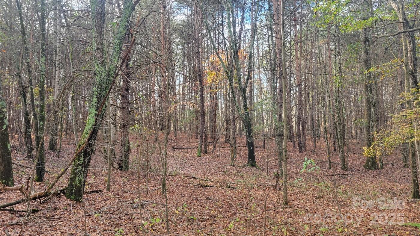 0000 Indian Creek Road Property Photo 6
