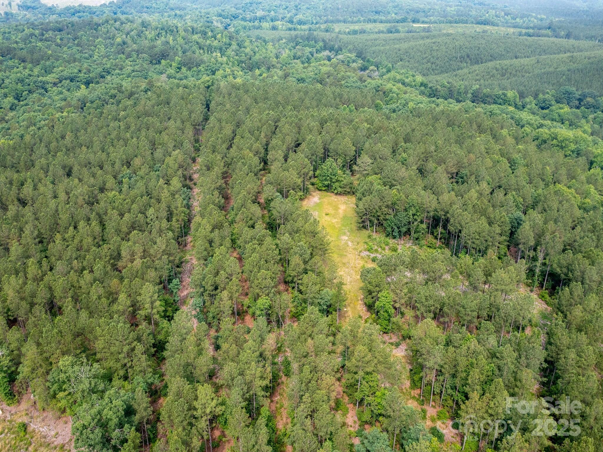 0 Chip Road Property Photo 1