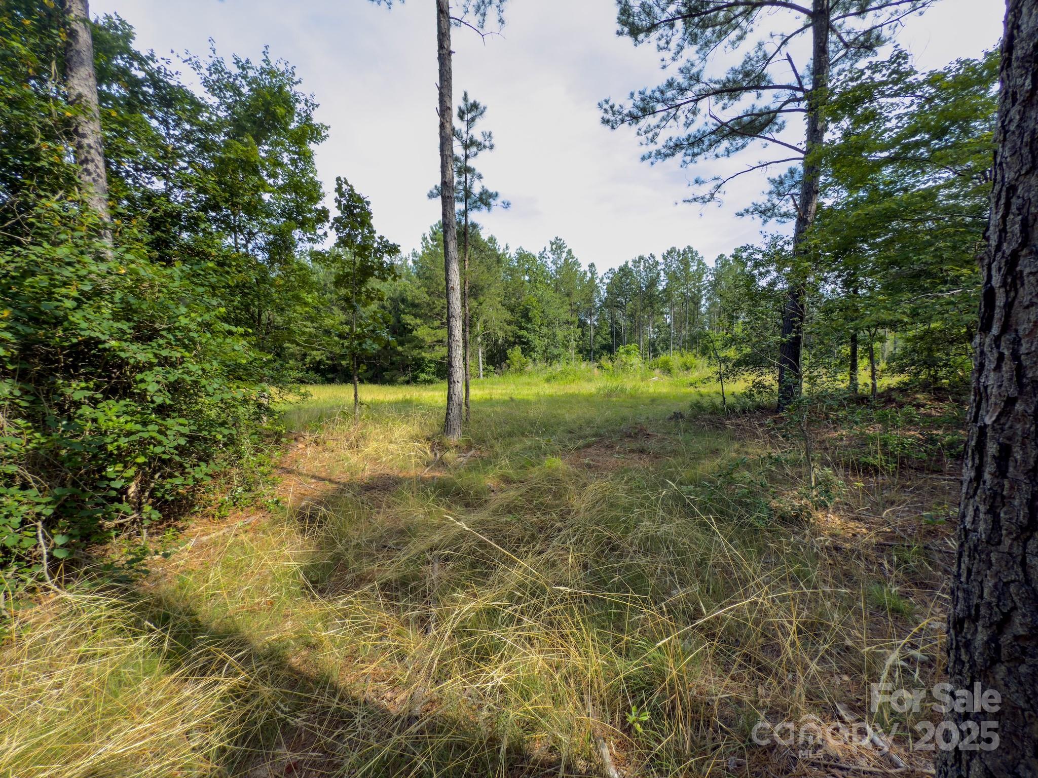 0 Chip Road Property Photo 2