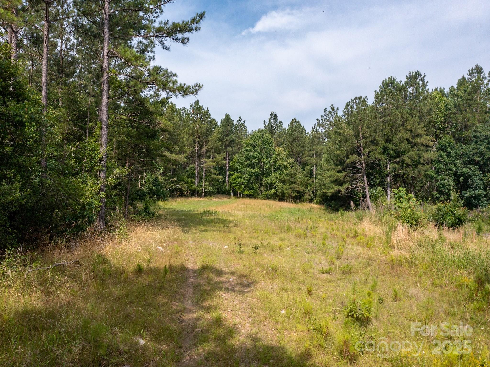 0 Chip Road Property Photo 3