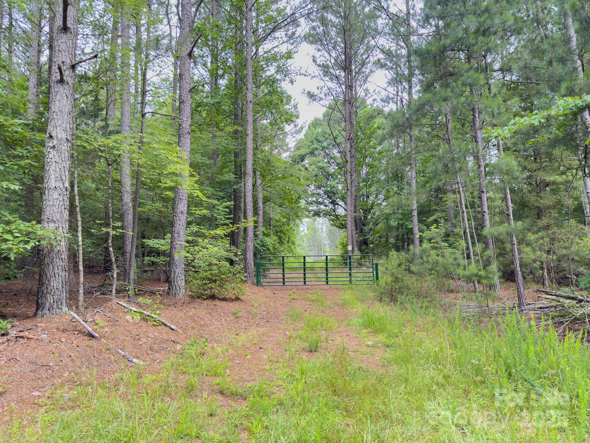 0 Chip Road Property Photo 6