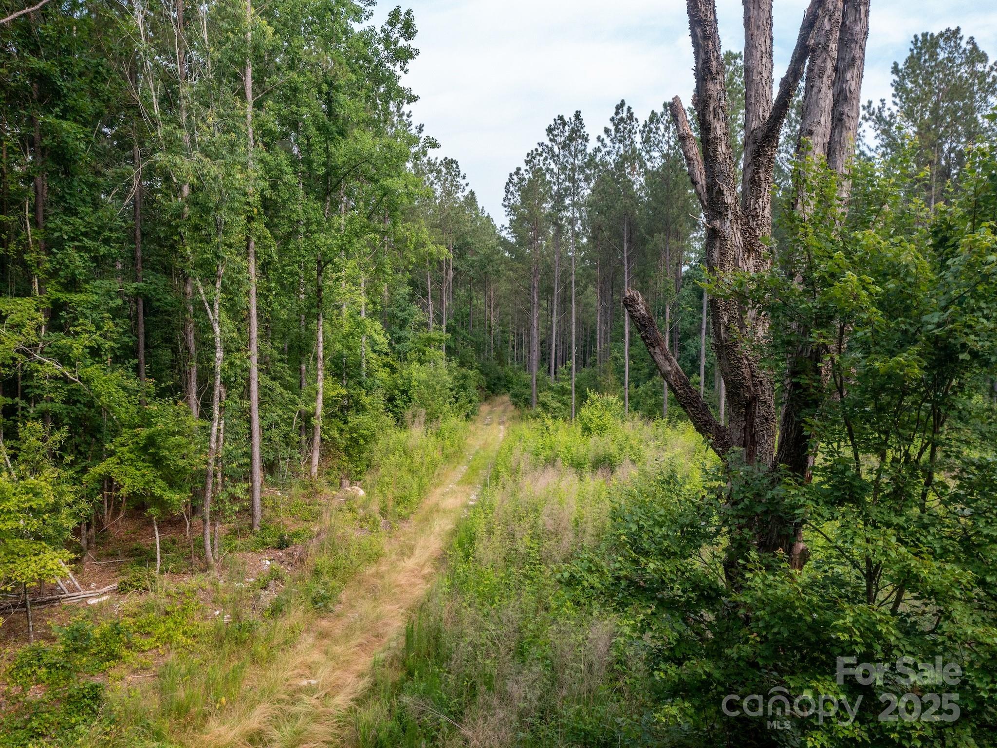 0 Chip Road Property Photo 10