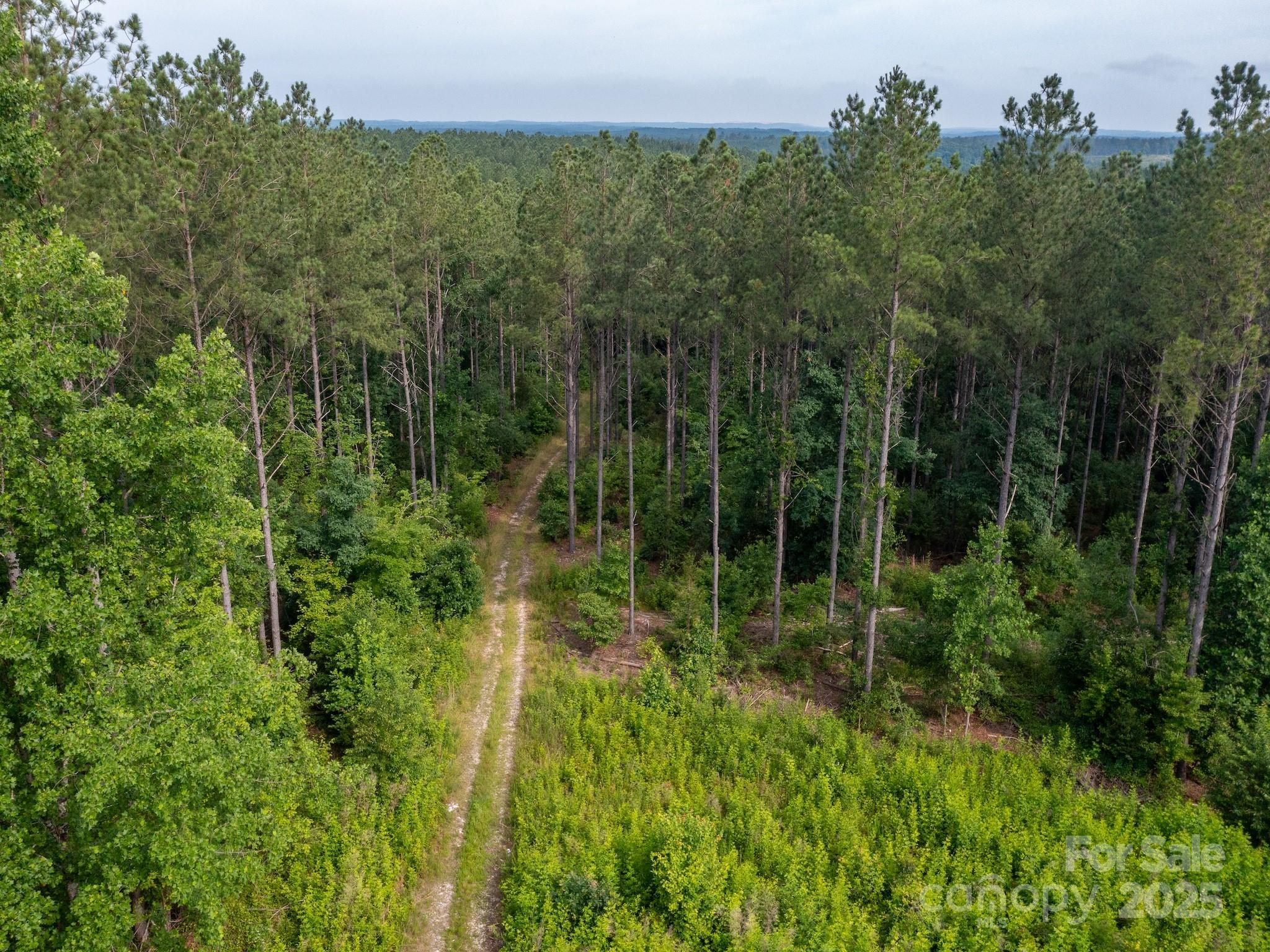 0 Chip Road Property Photo 11