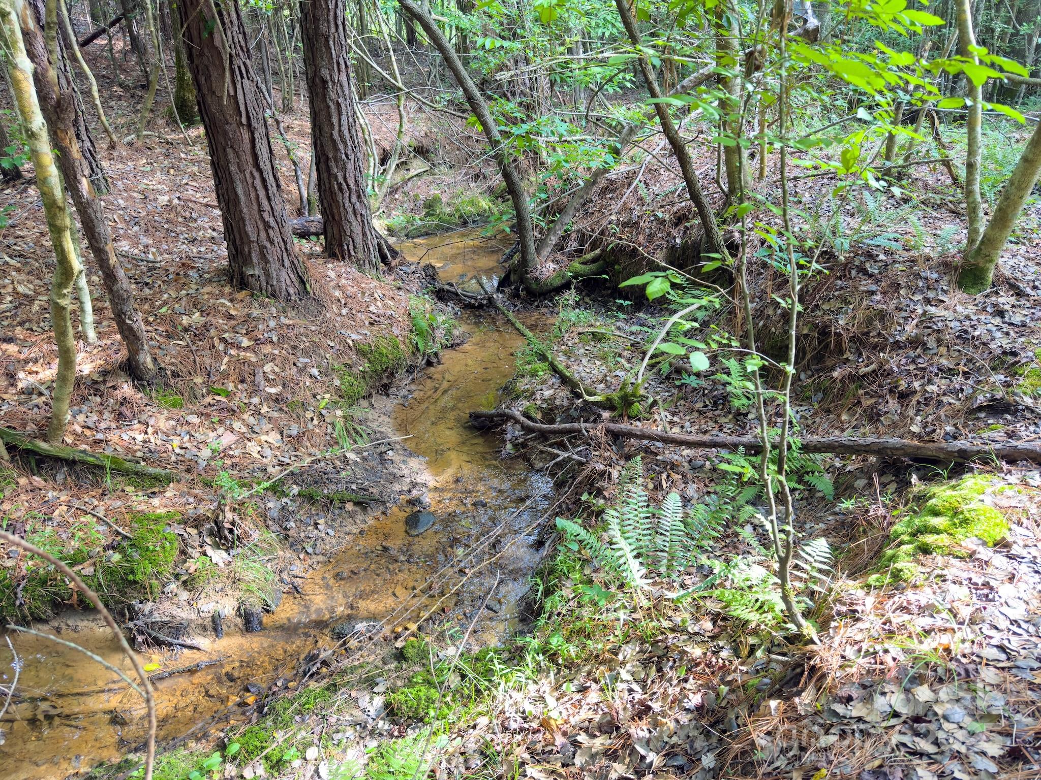 0 Chip Road Property Photo 12