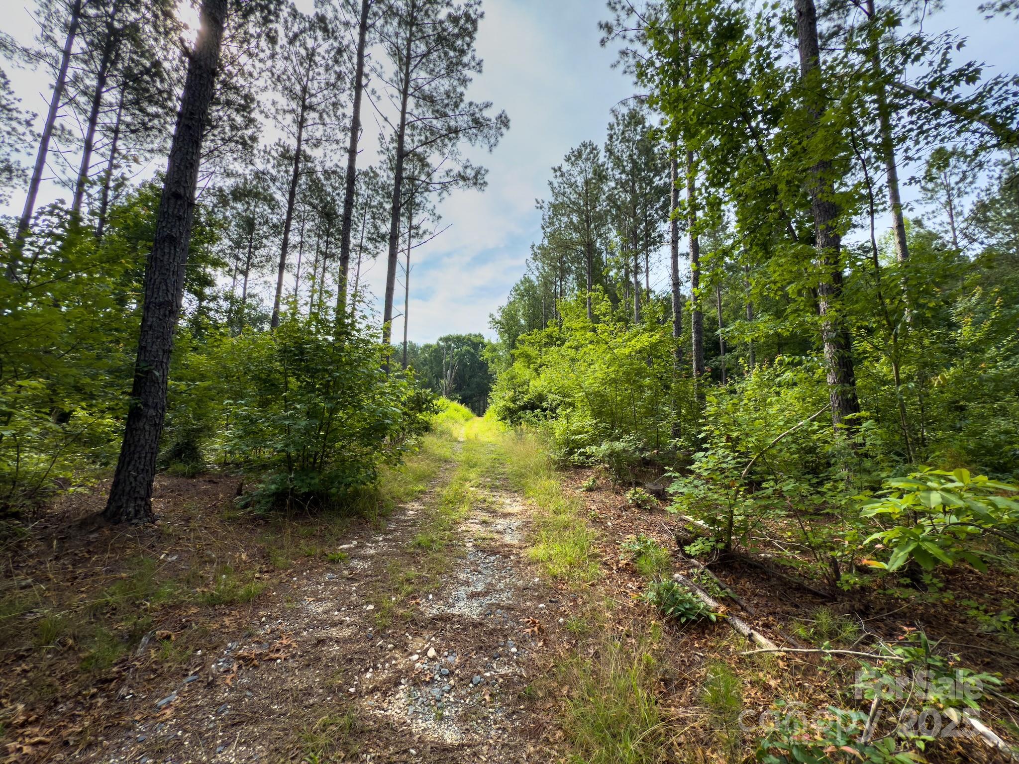 0 Chip Road Property Photo 14