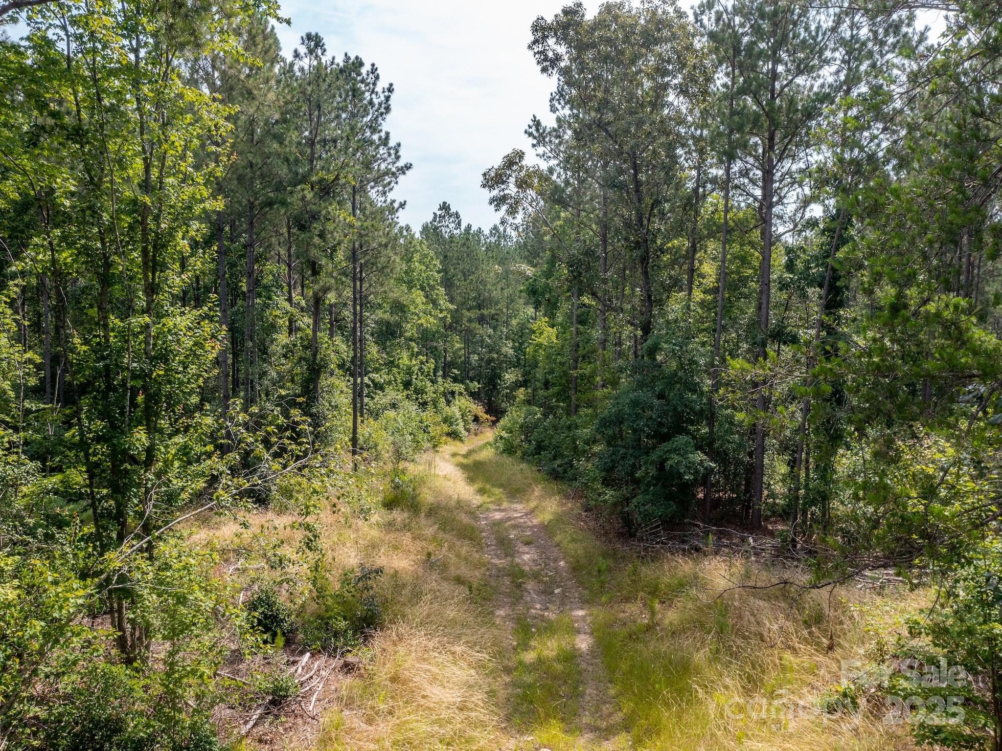 0 Chip Road Property Photo 17