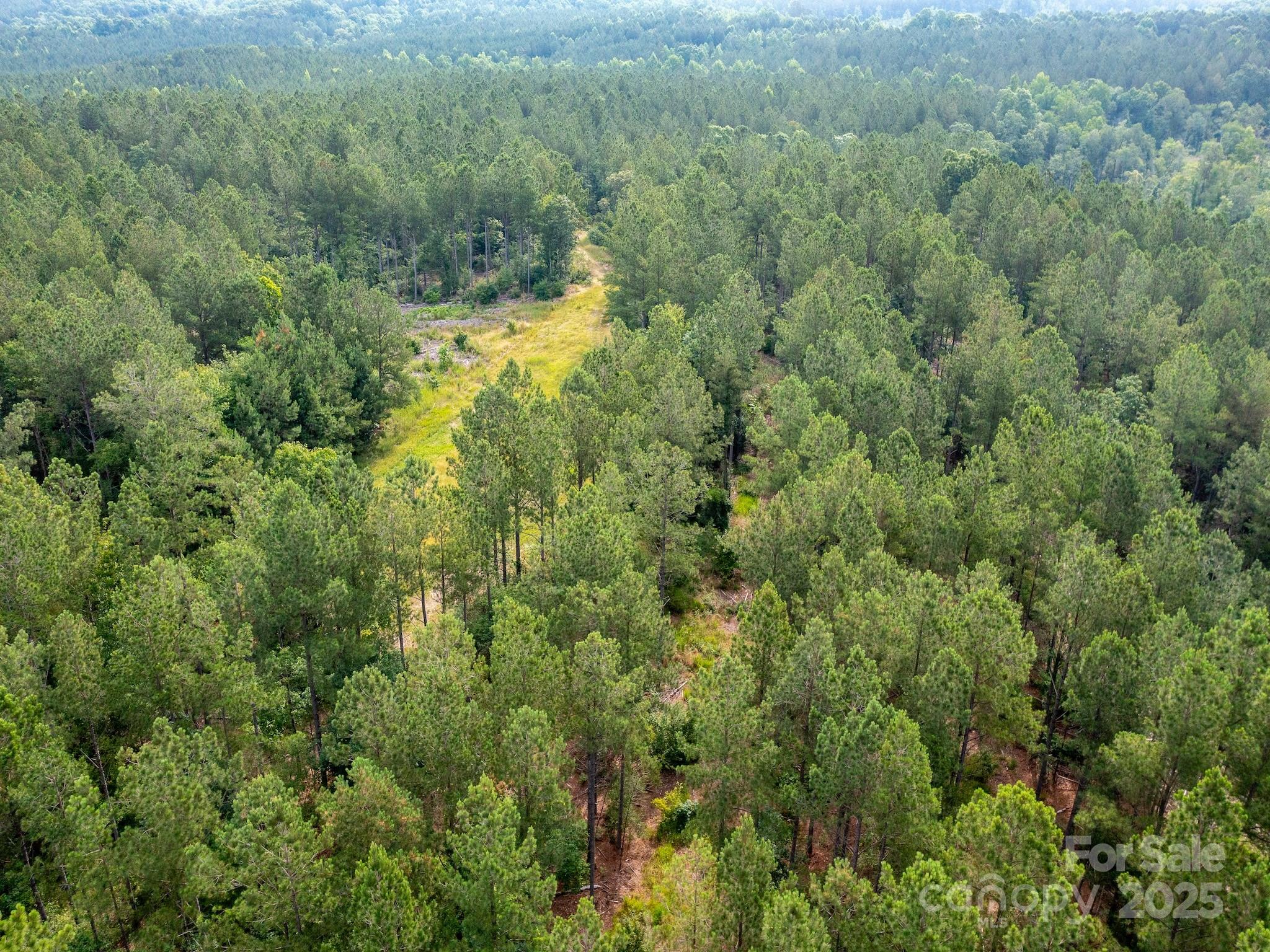 0 Chip Road Property Photo 18