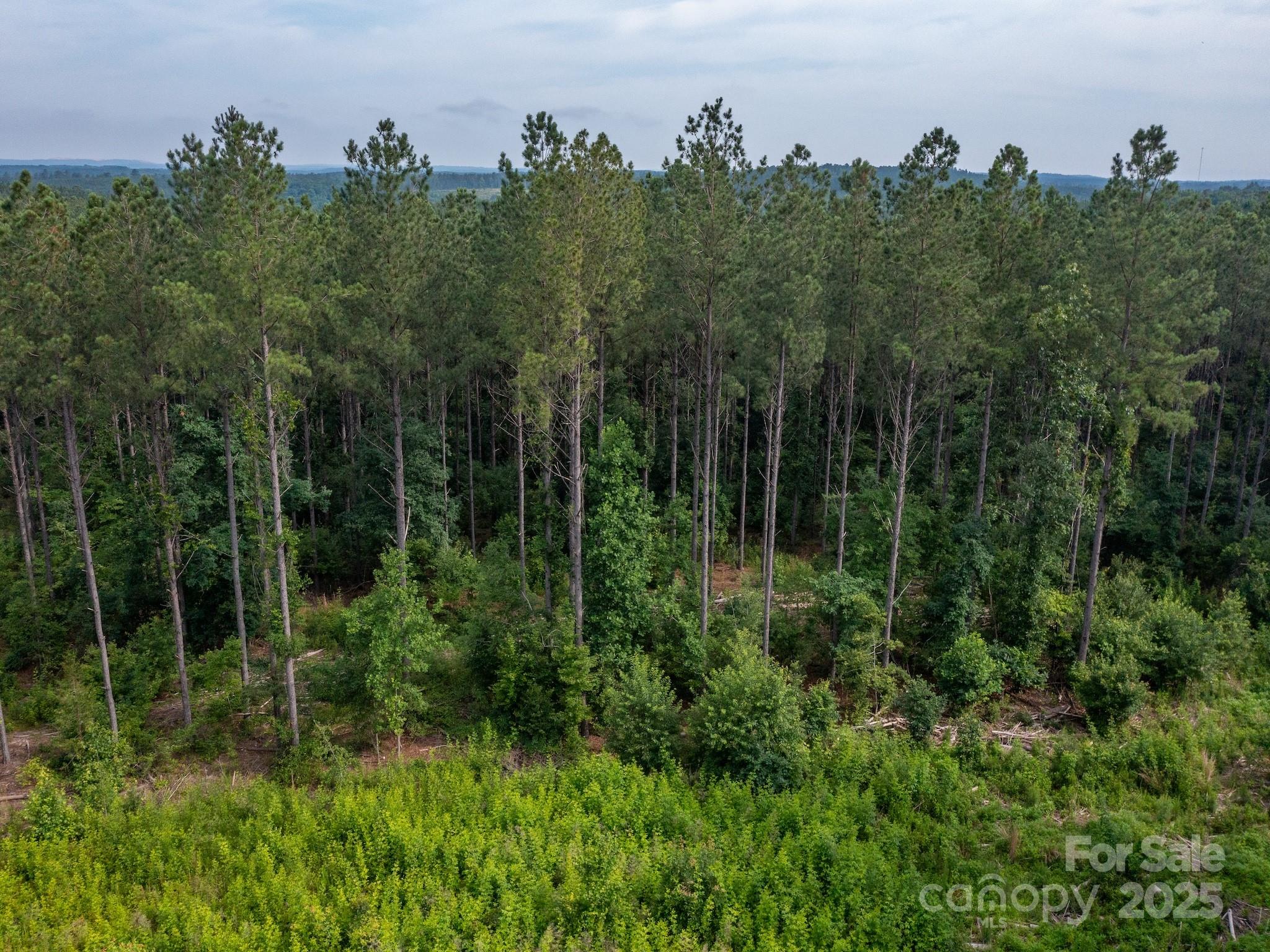 0 Chip Road Property Photo 20