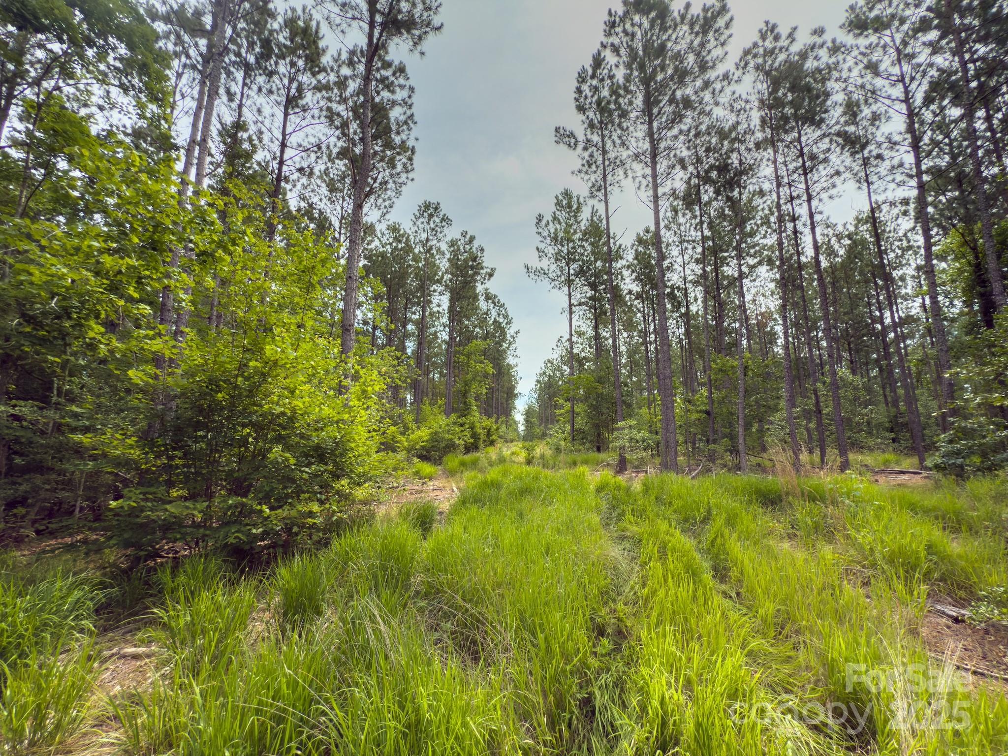 0 Chip Road Property Photo 21