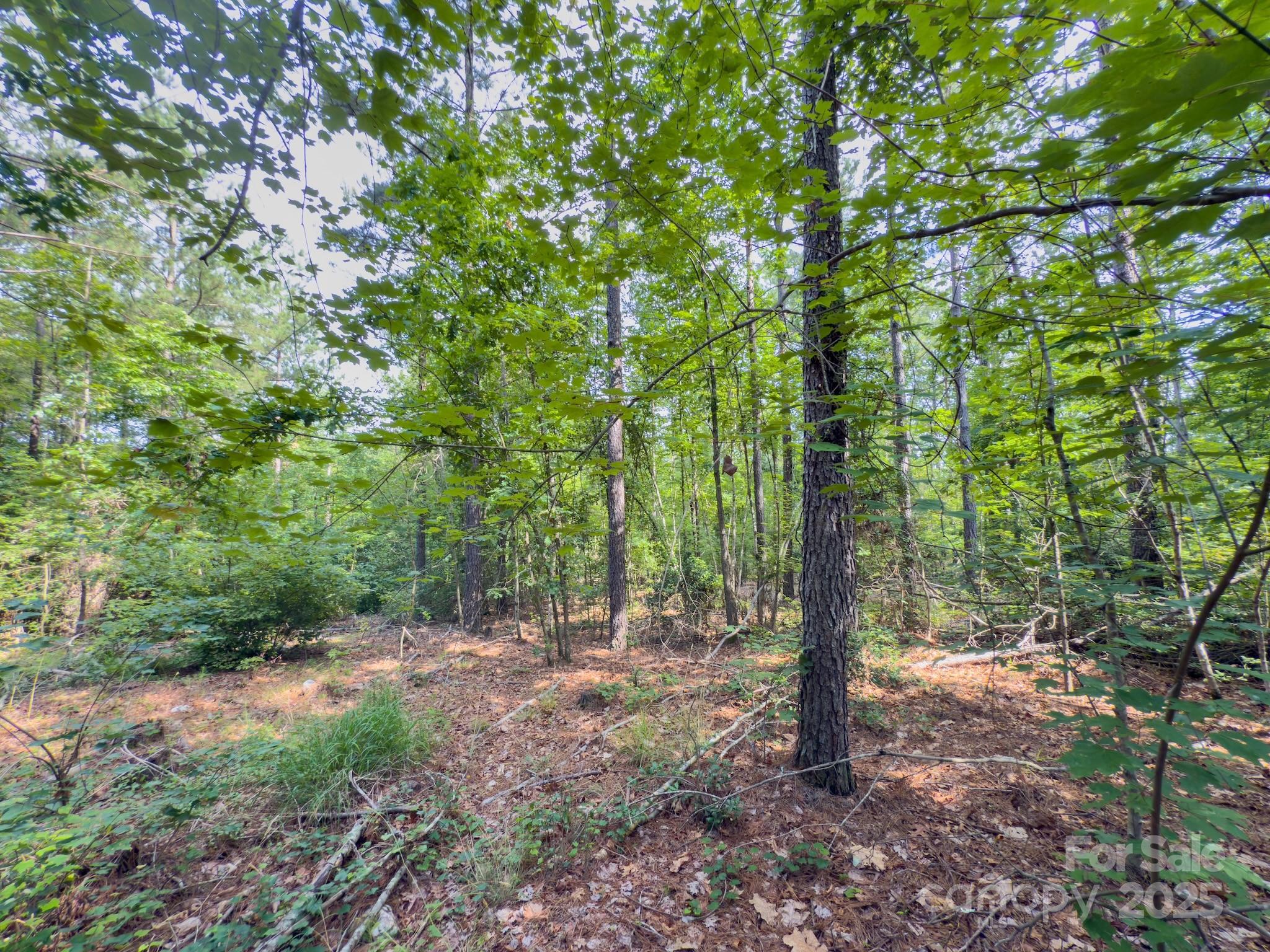 0 Chip Road Property Photo 25
