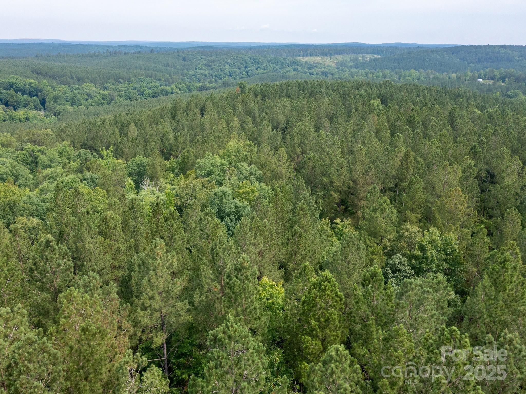 0 Chip Road Property Photo 27