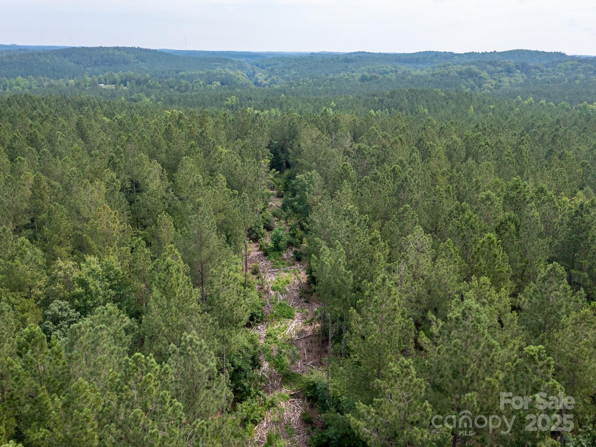 0 Chip Road Property Photo 28