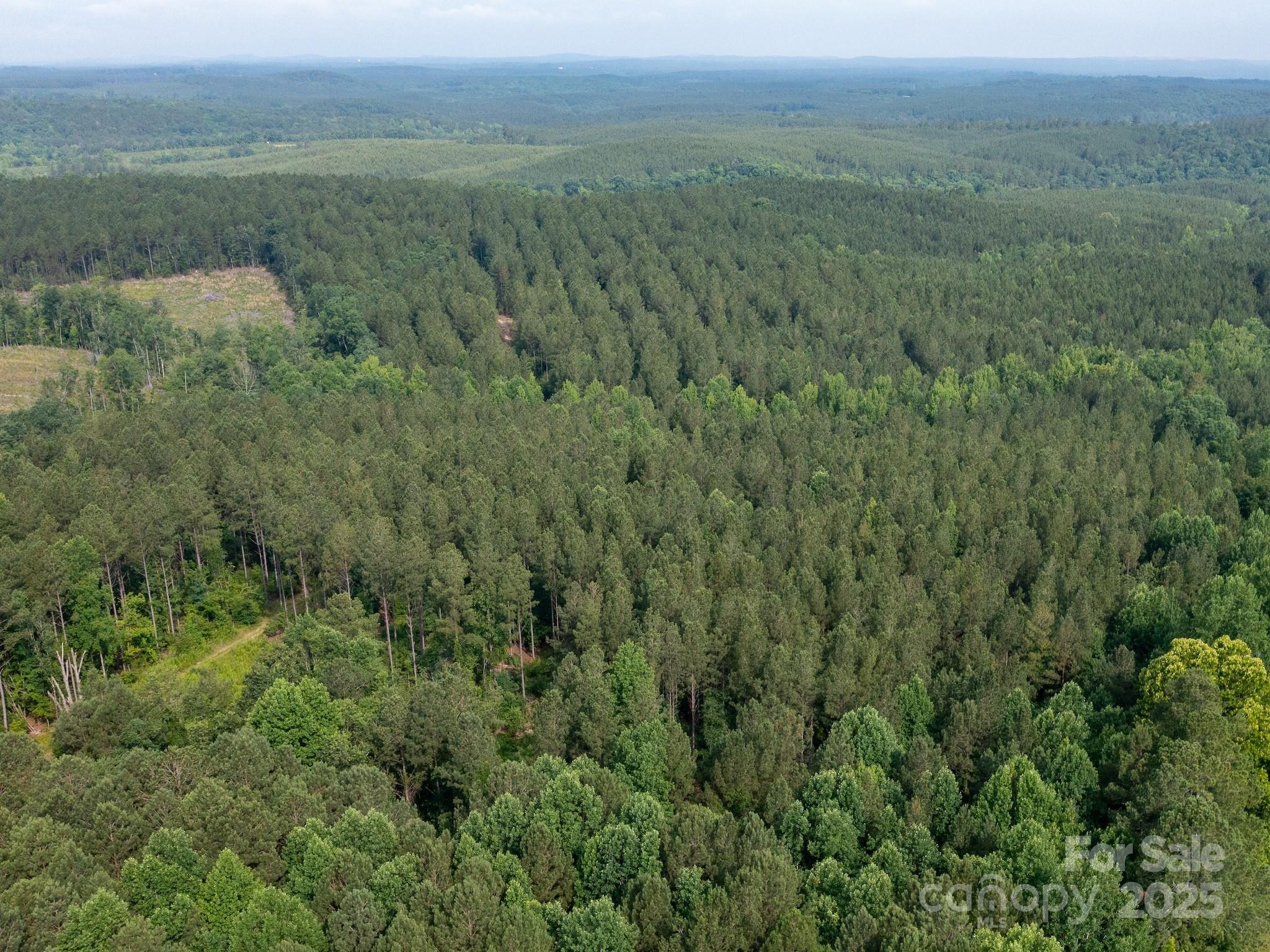 0 Chip Road Property Photo 29