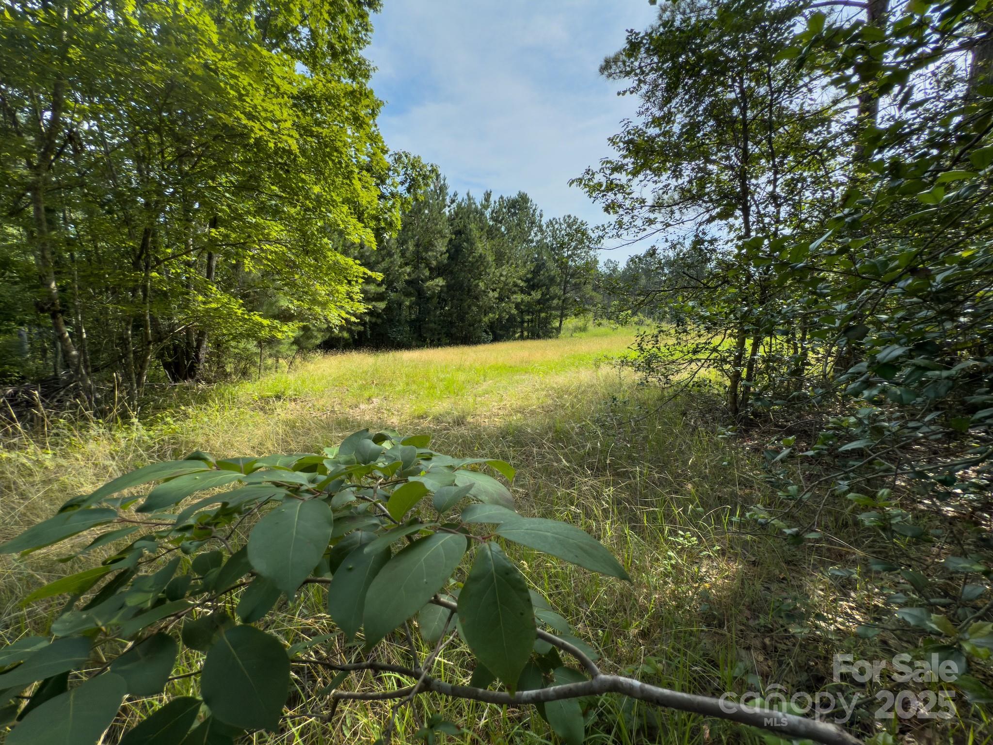 0 Chip Road Property Photo 30