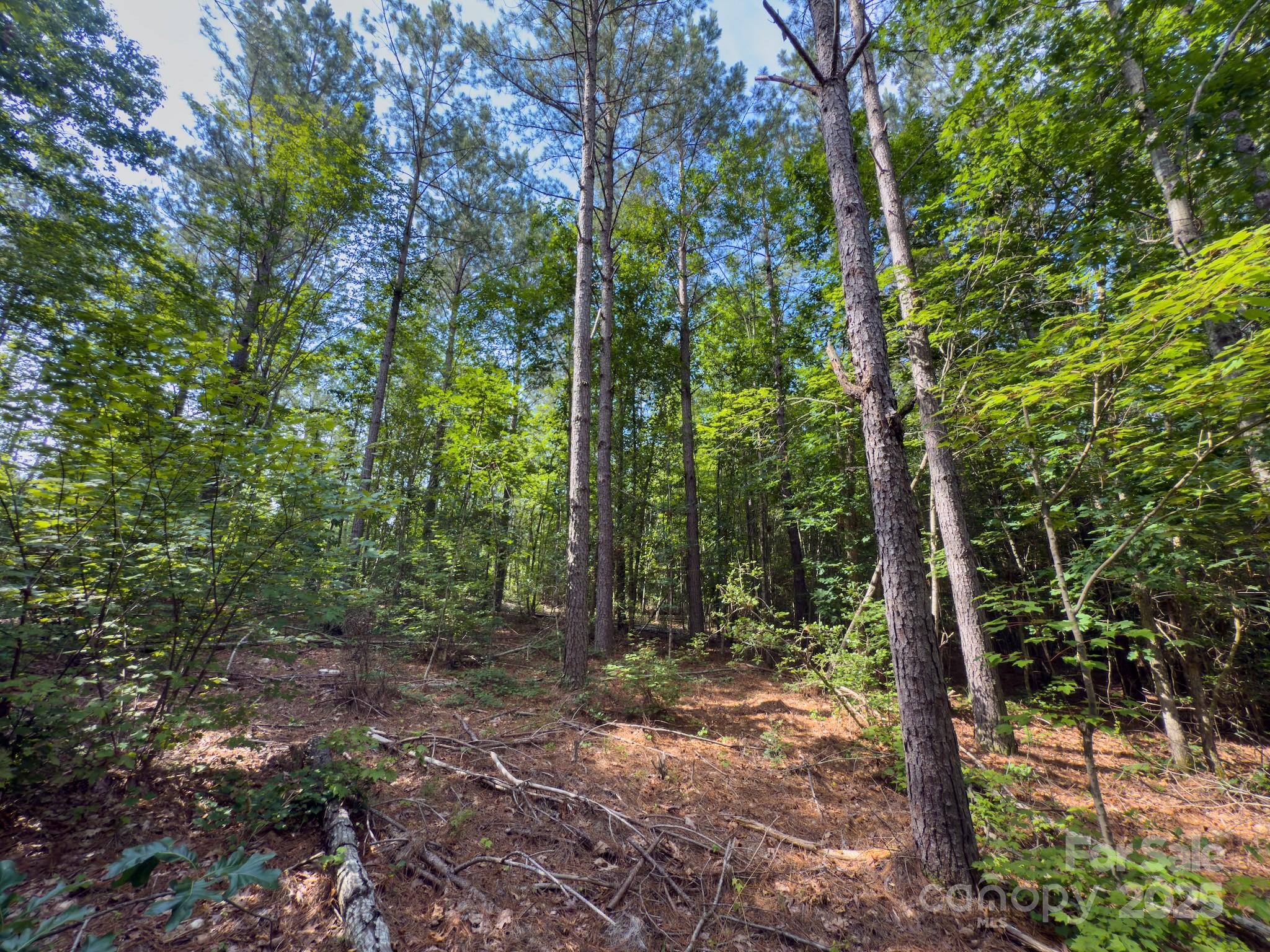 0 Chip Road Property Photo 31