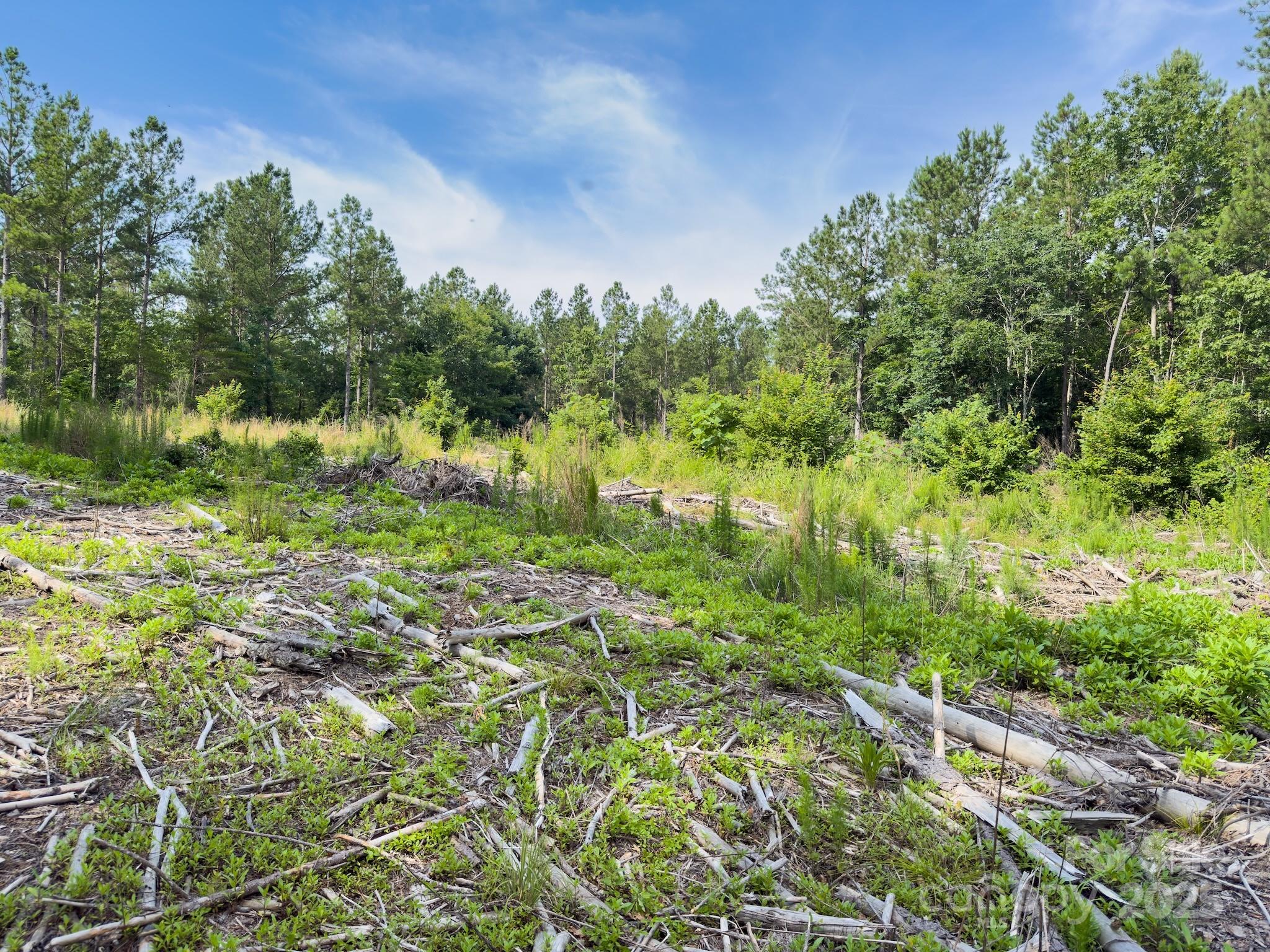 0 Chip Road Property Photo 32