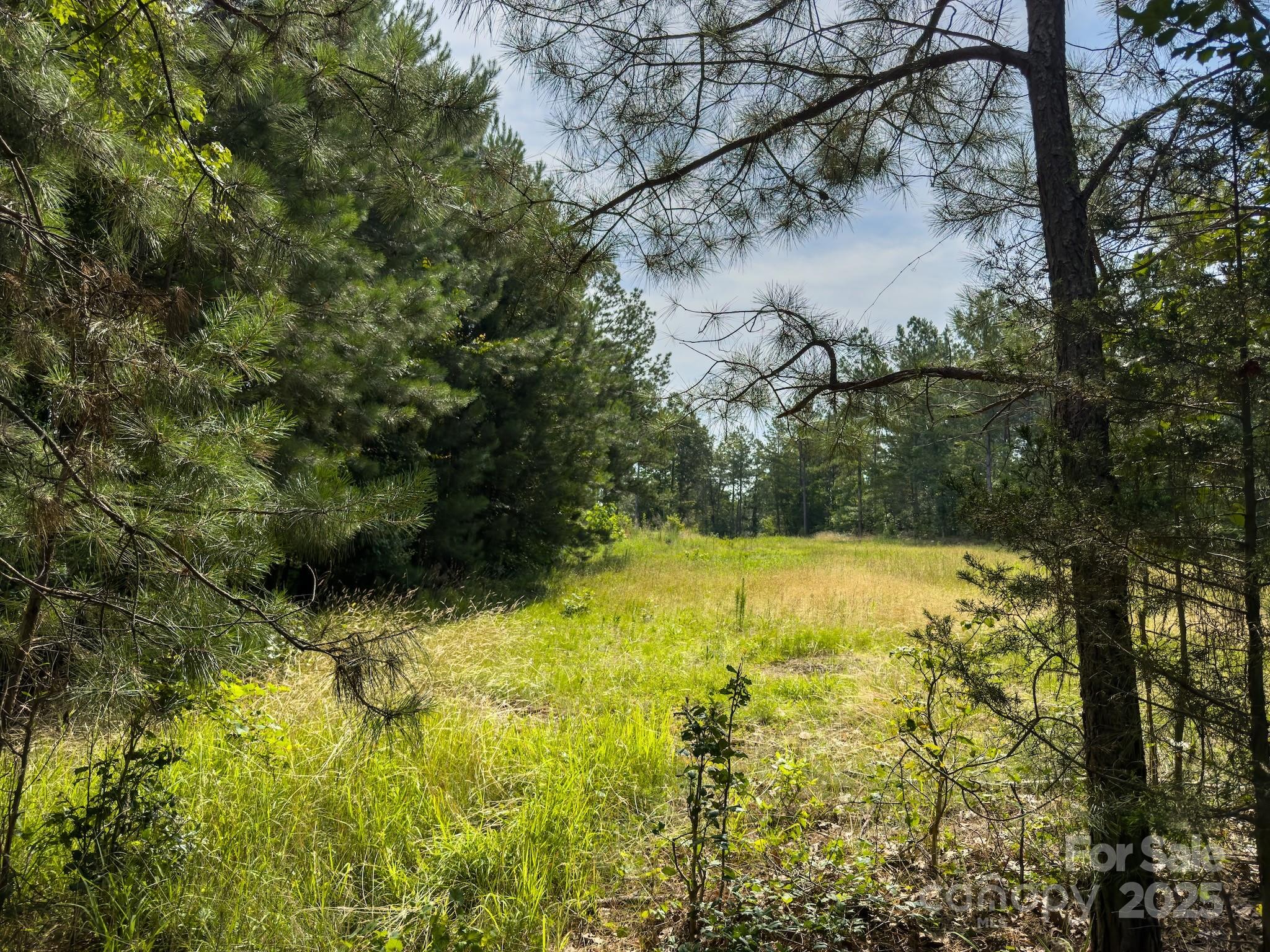 0 Chip Road Property Photo 35