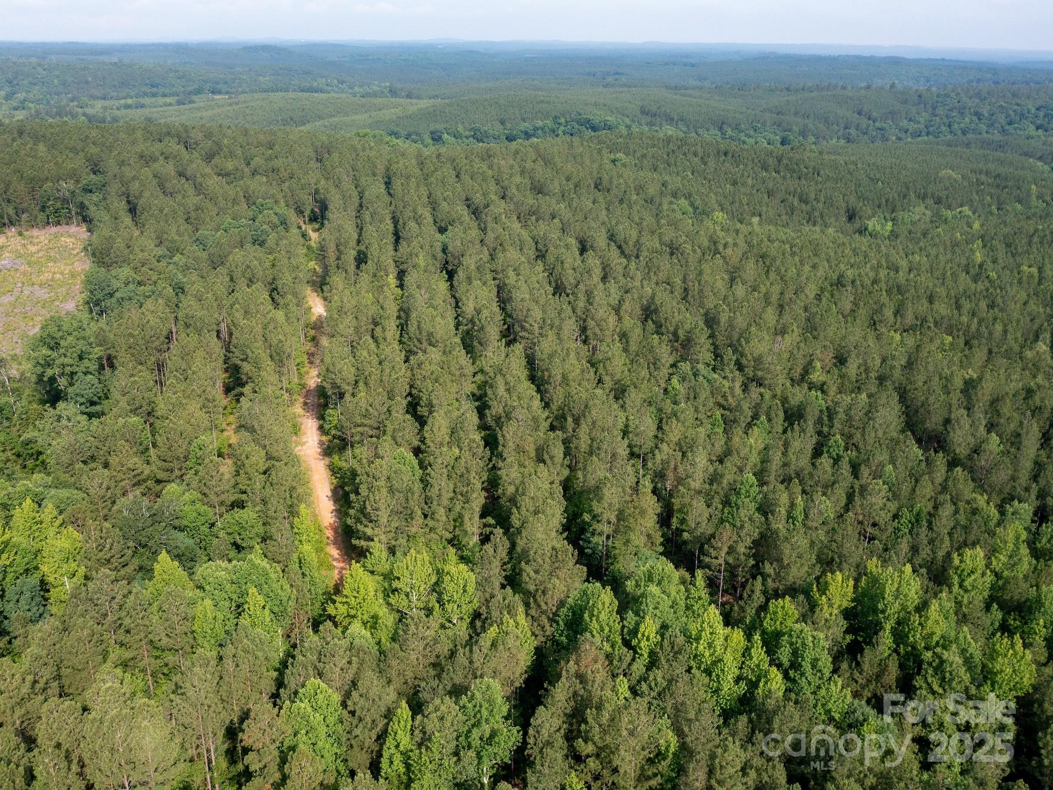 0 Chip Road Property Photo 37
