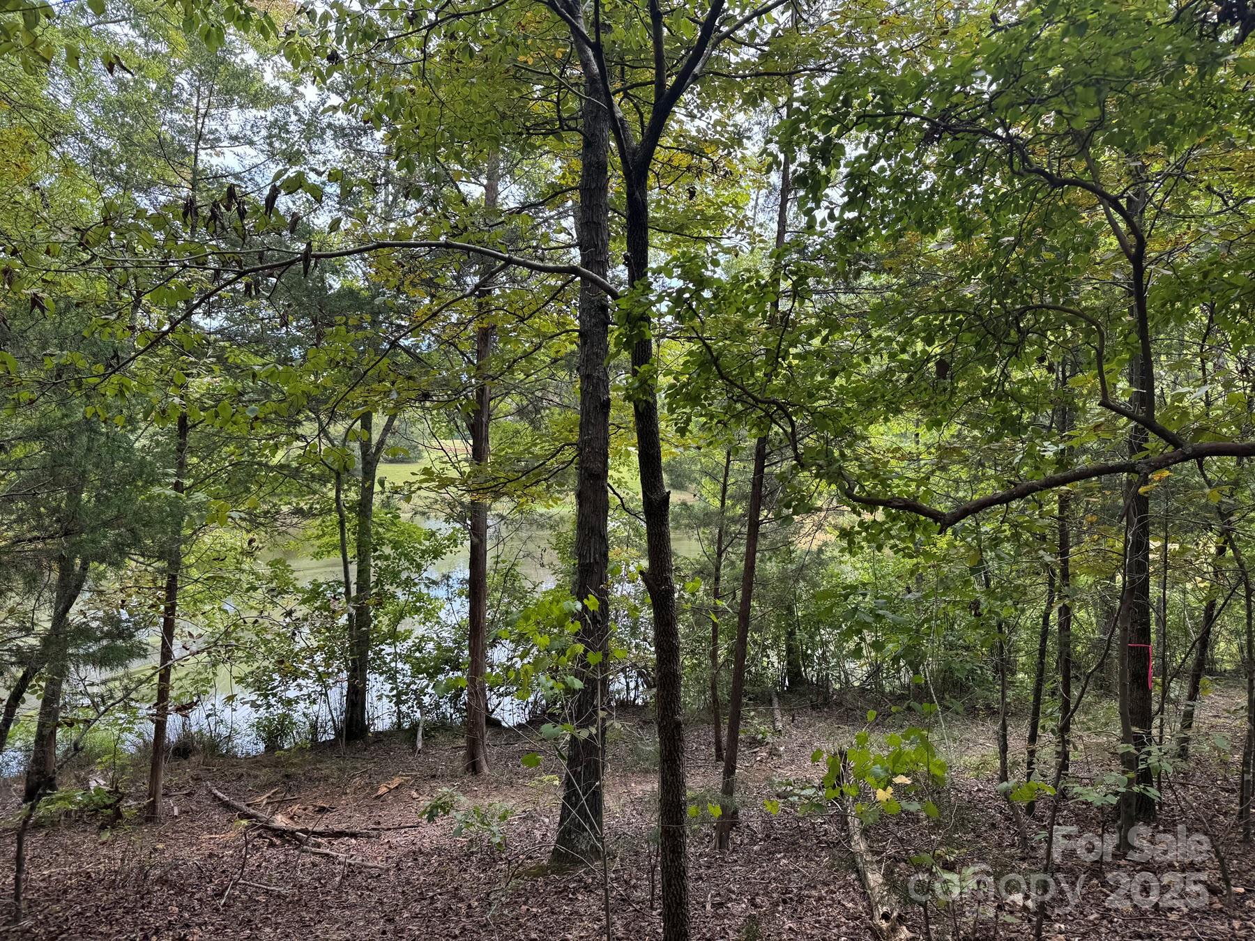 357 Pendergrass Road Property Photo 3