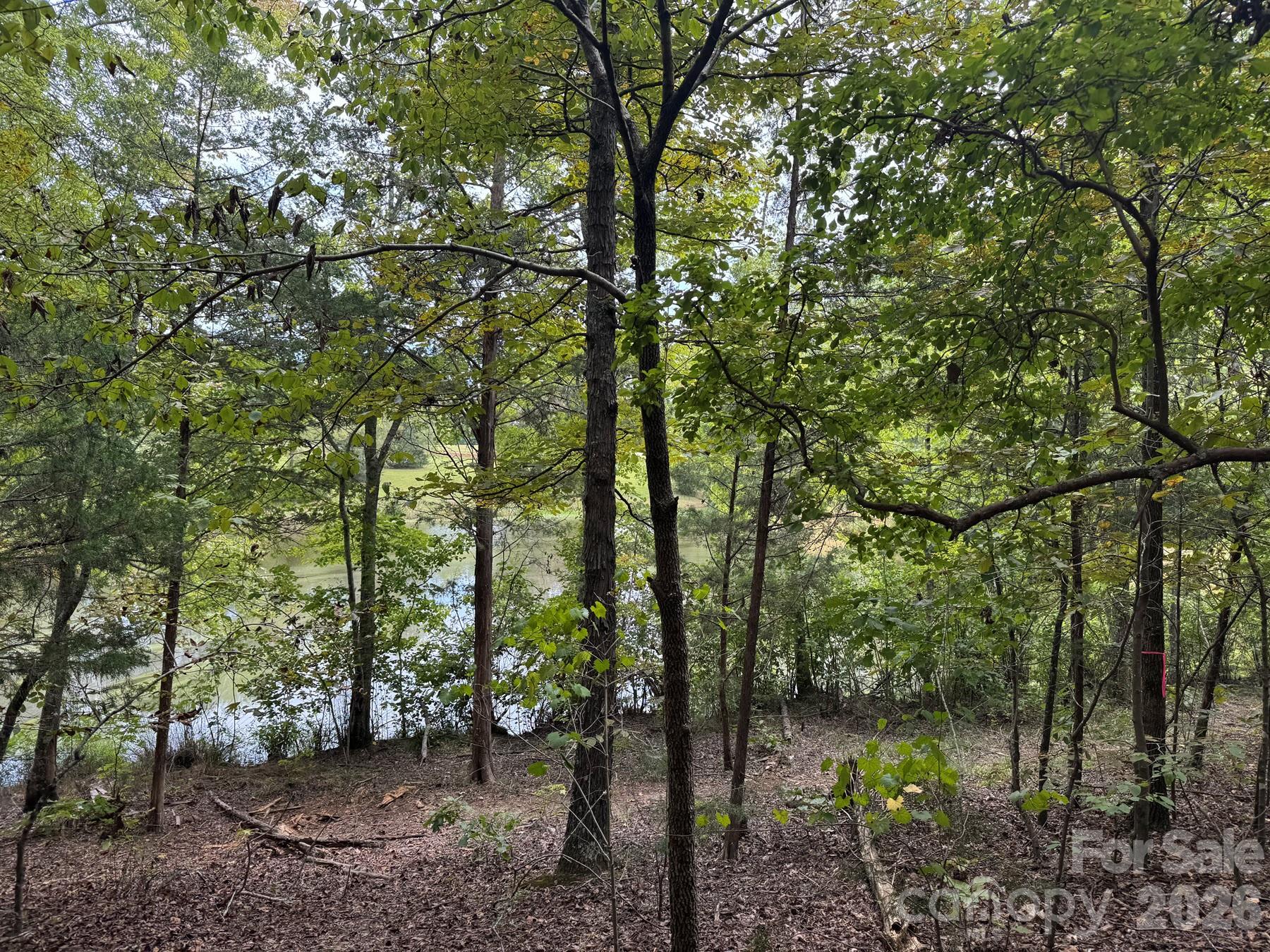357 Pendergrass Road Property Photo 3