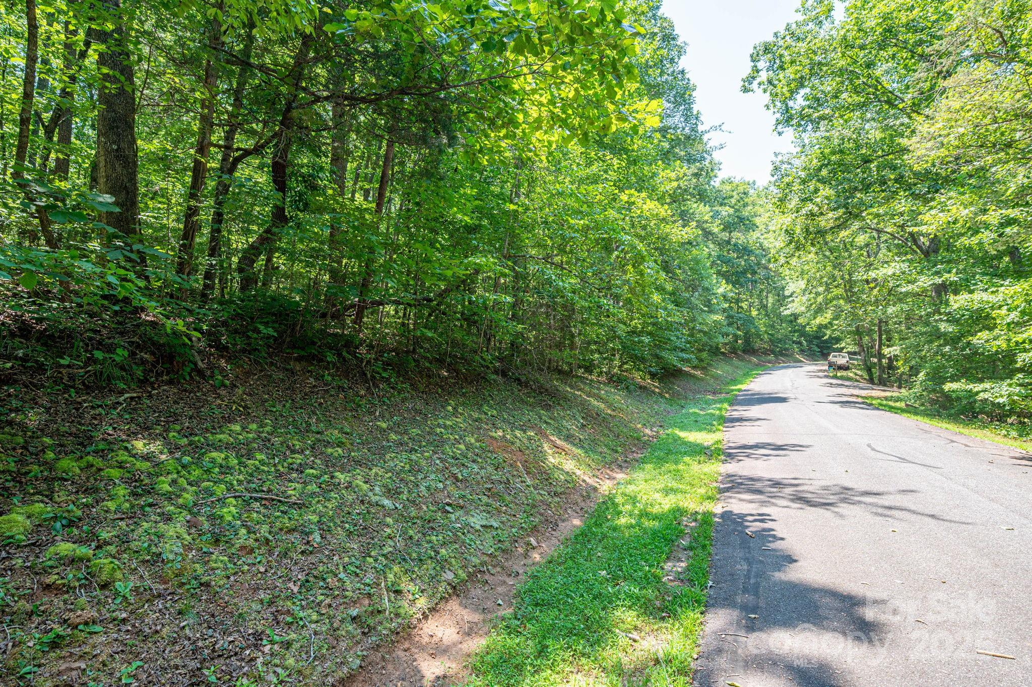 Lot #49 Moss Drive Property Photo 8