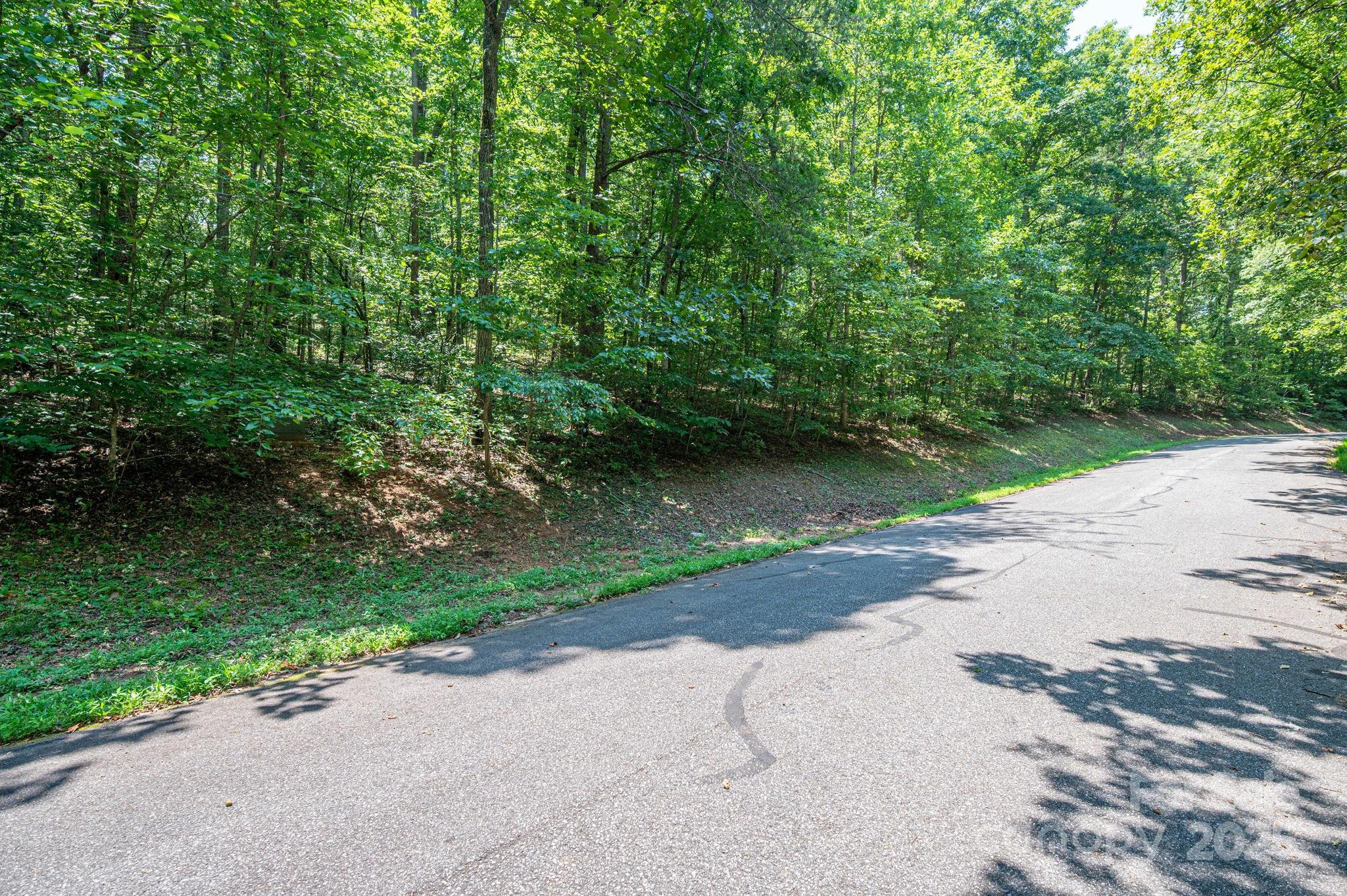 Lot #49 Moss Drive Property Photo 11