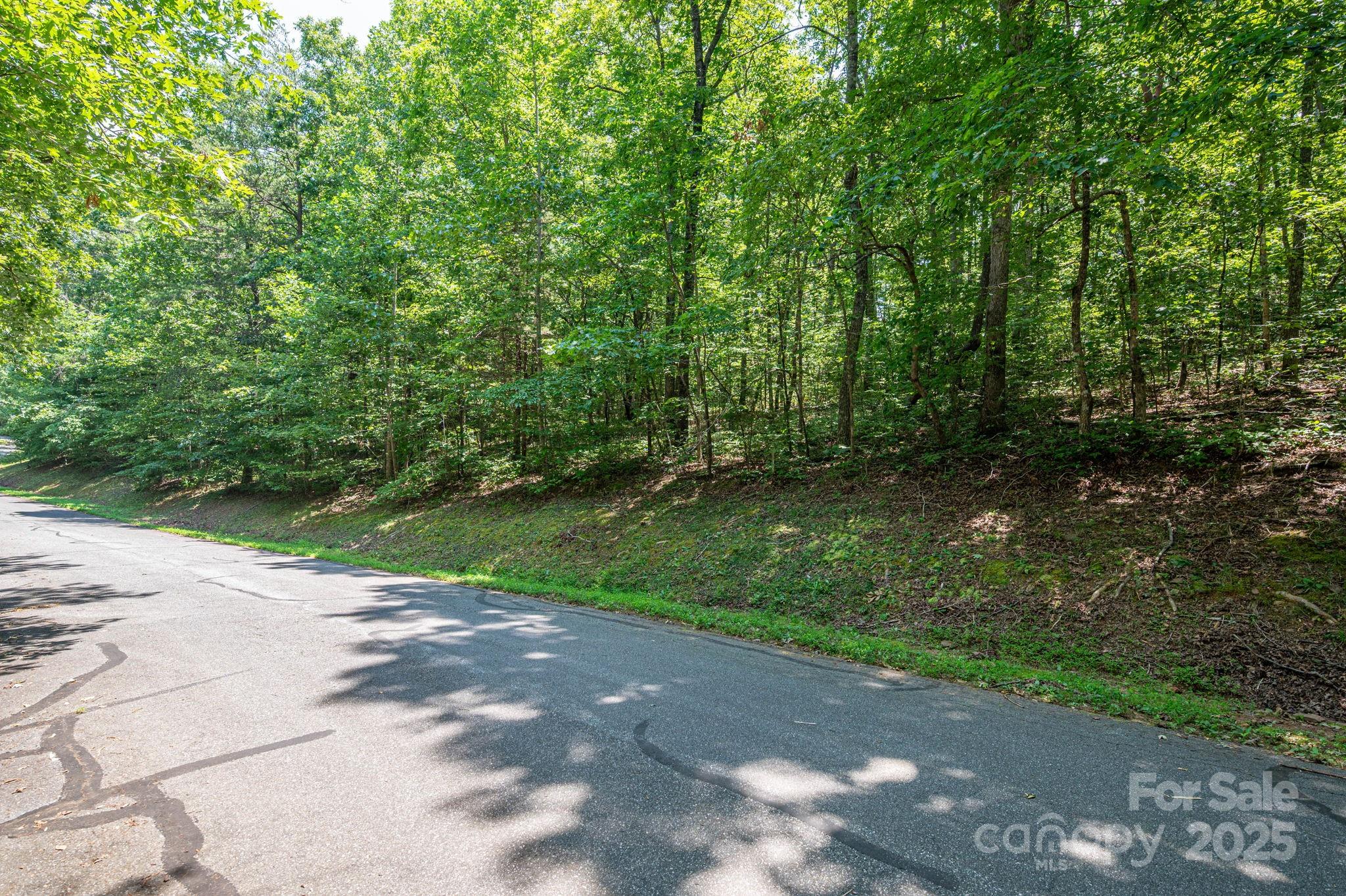 Lot #49 Moss Drive Property Photo 10