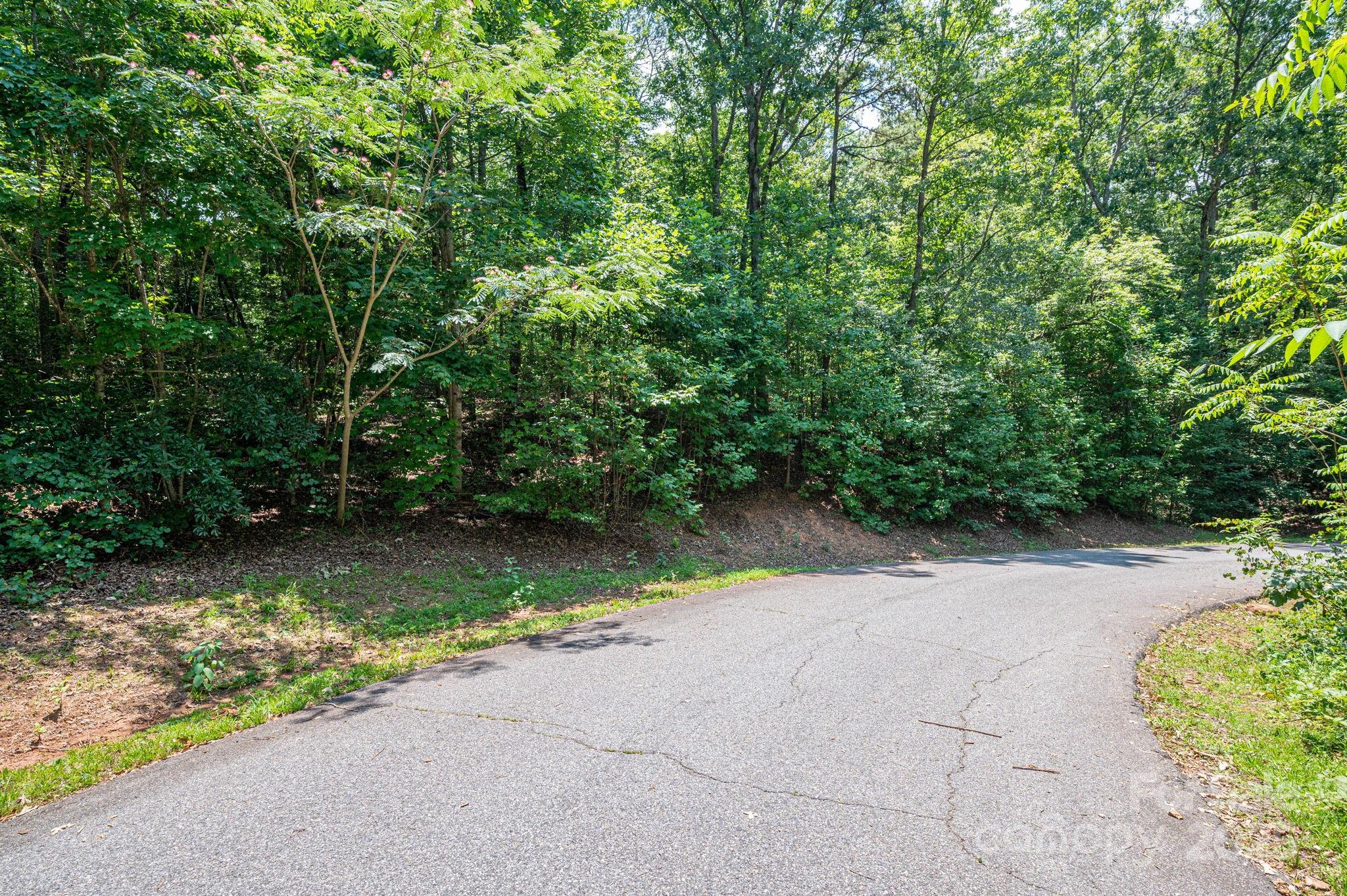 Lot #36 Moss Drive Property Photo 7