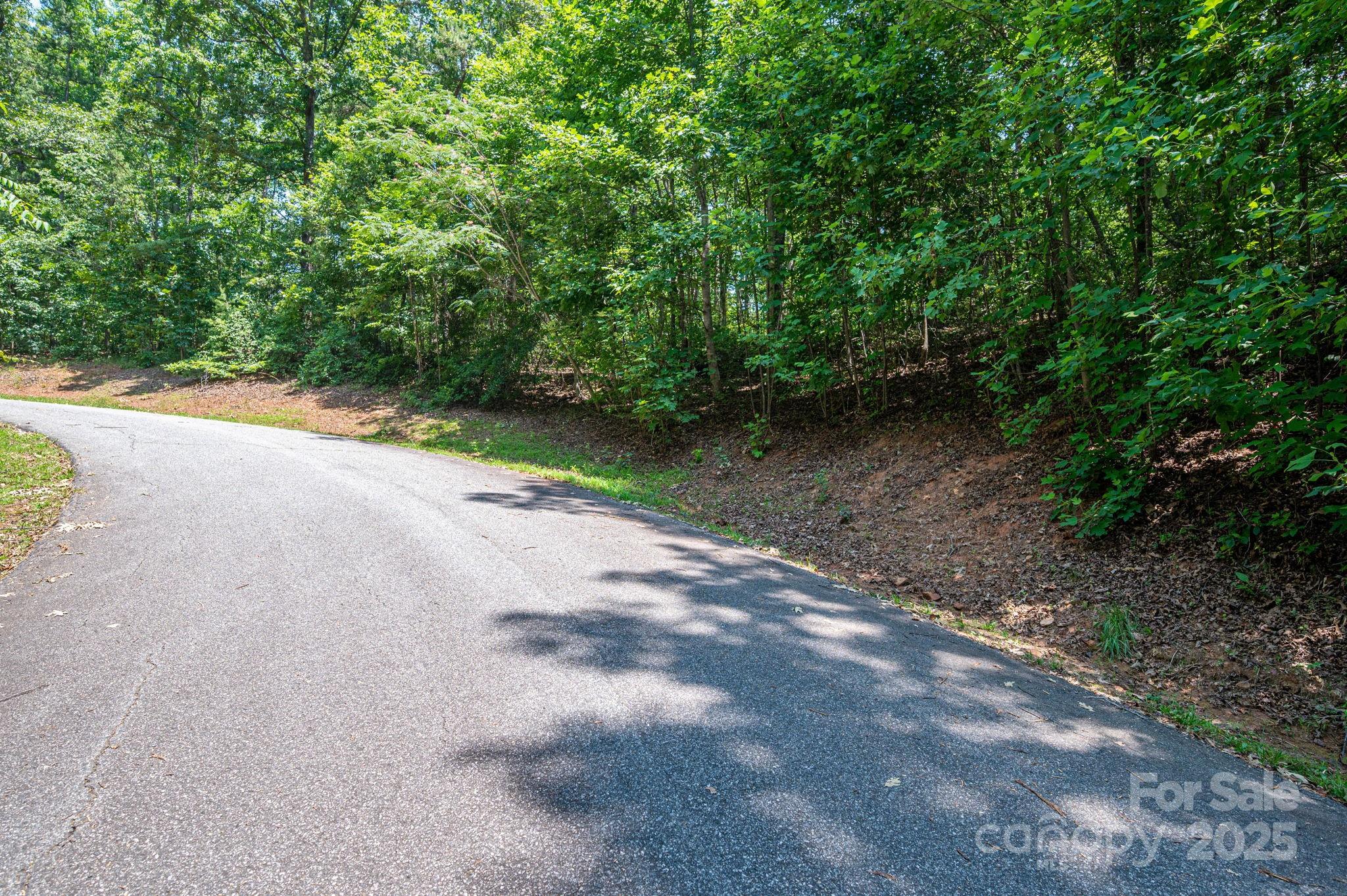 Lot #36 Moss Drive Property Photo 8