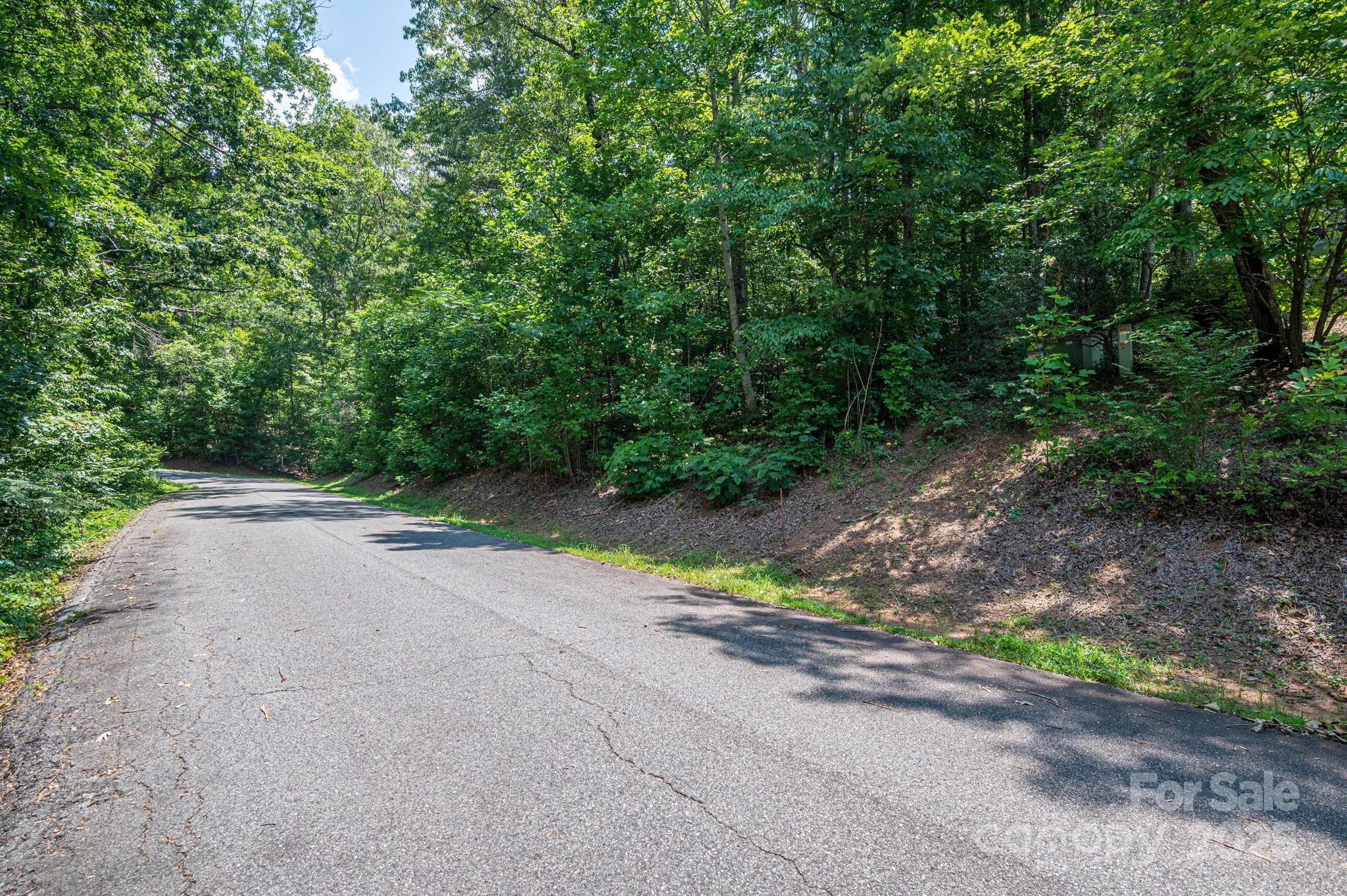 Lot #36 Moss Drive Property Photo 11