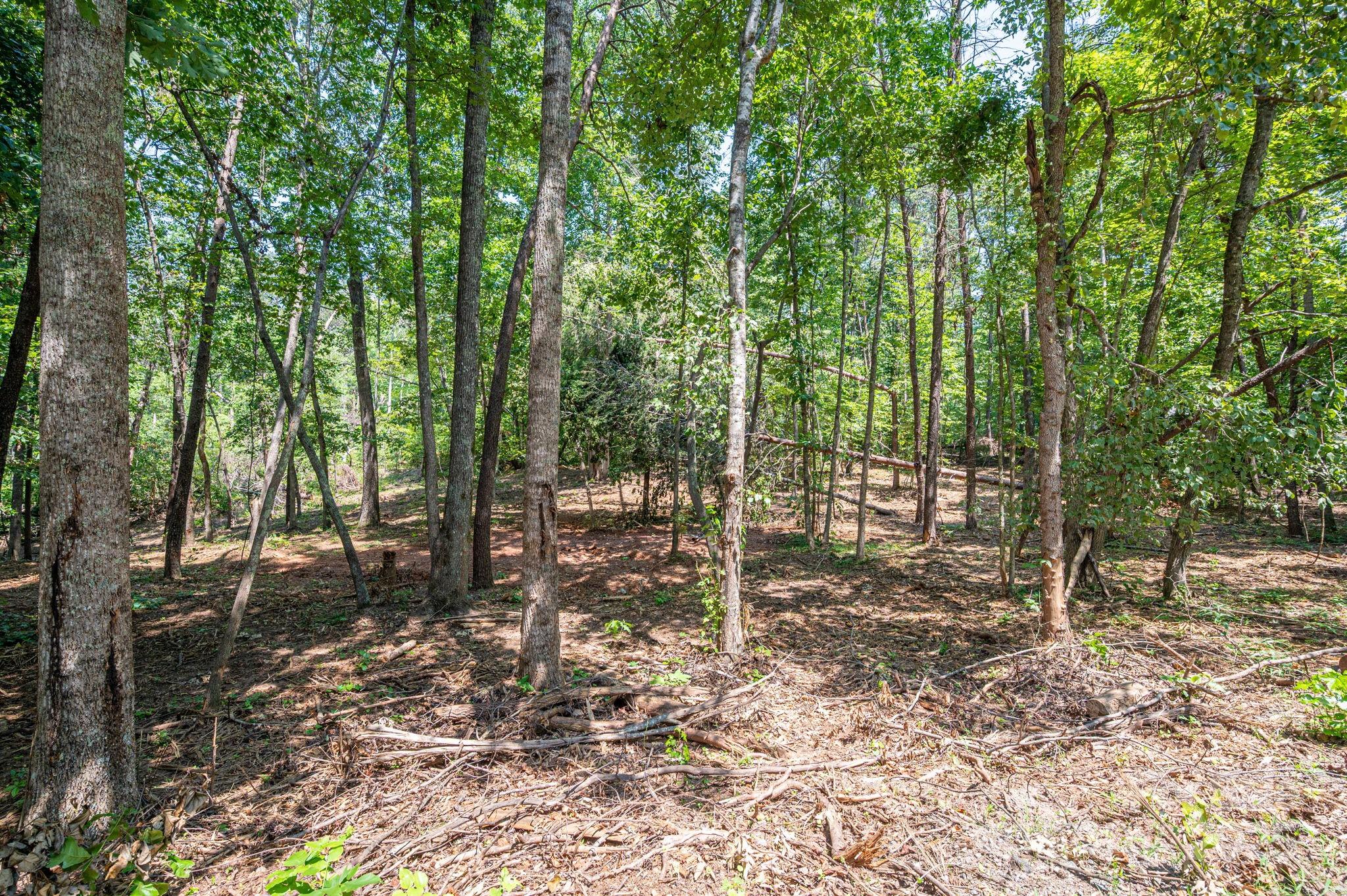 Lot 0 Annapolis Court Property Photo 2