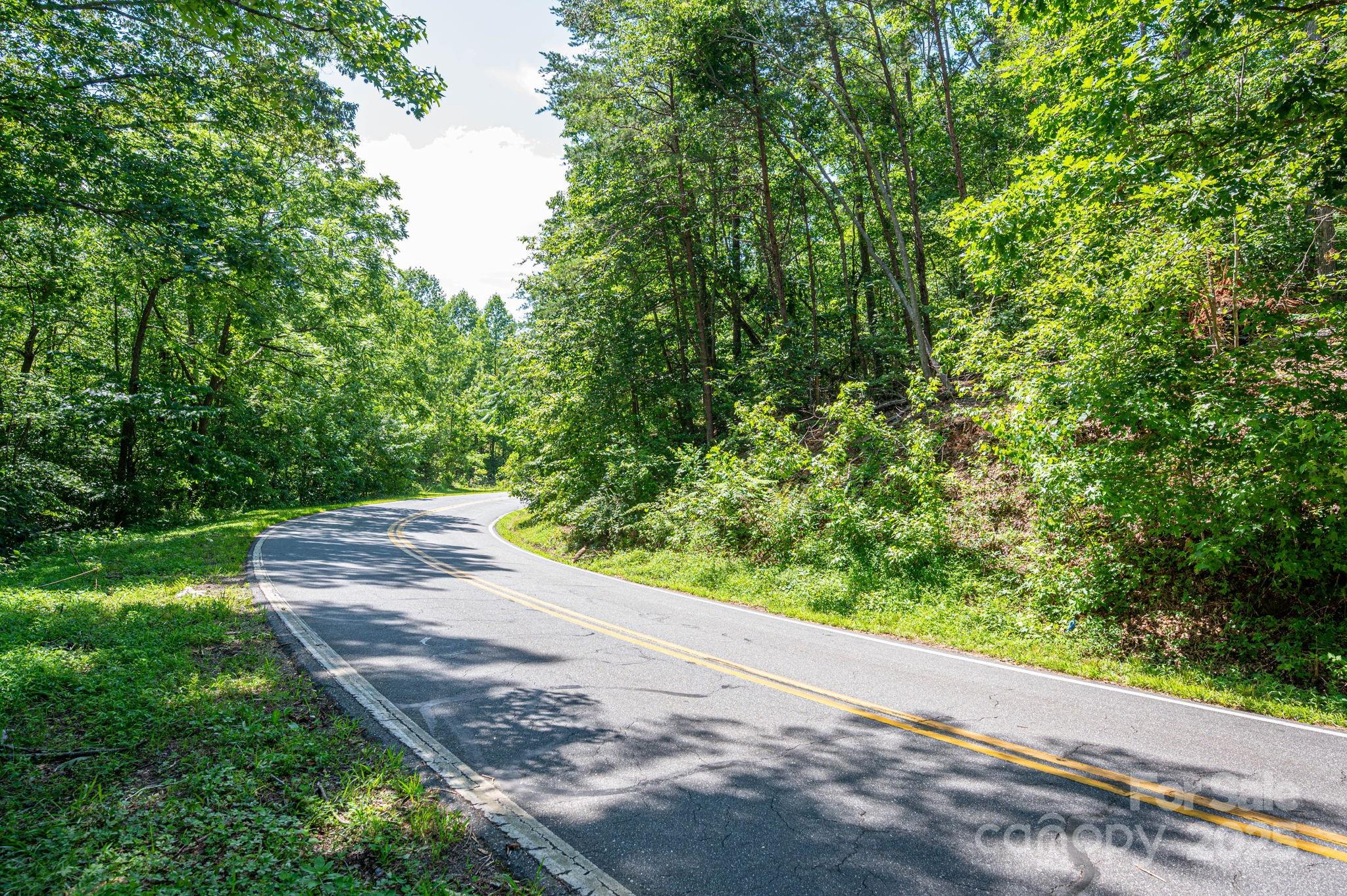 Lot #69 Cleghorn Mill Road Property Photo 4