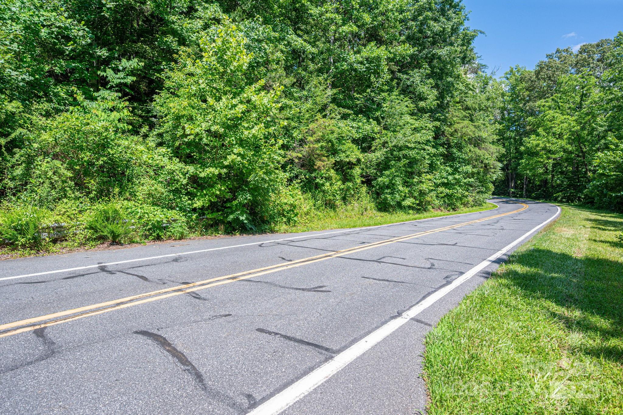 Lot #69 Cleghorn Mill Road Property Photo 5