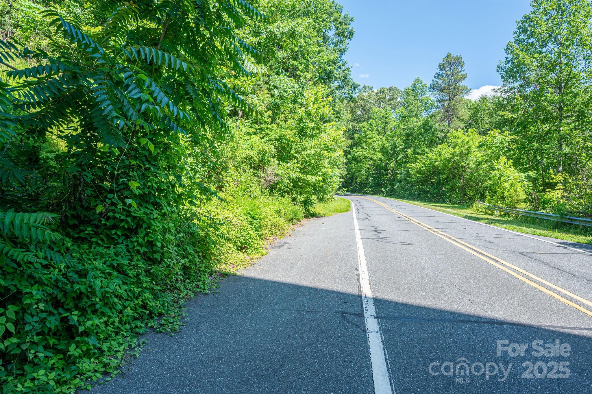 Lot #69 Cleghorn Mill Road Property Photo 6