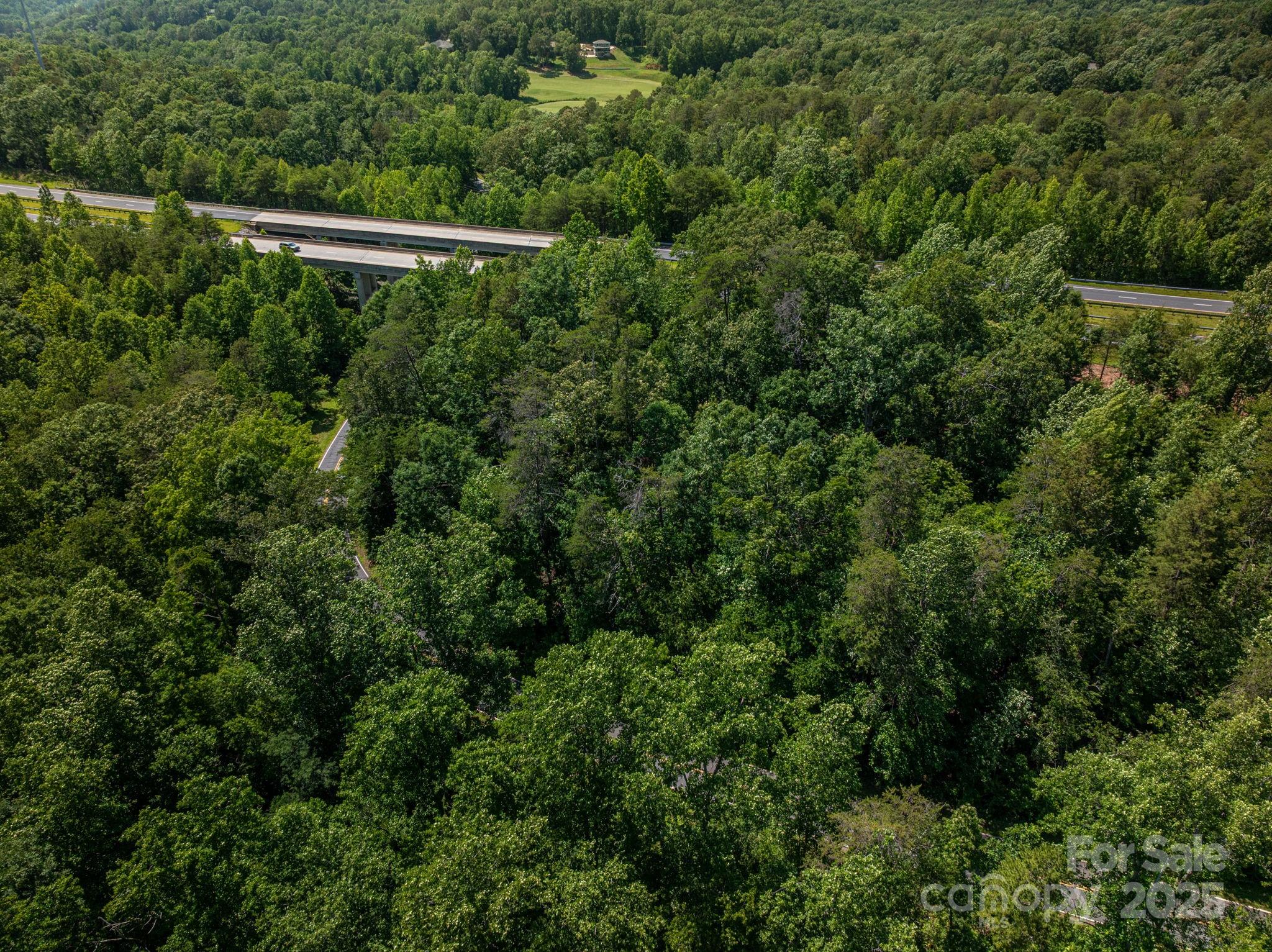 Lot #69 Cleghorn Mill Road Property Photo 8