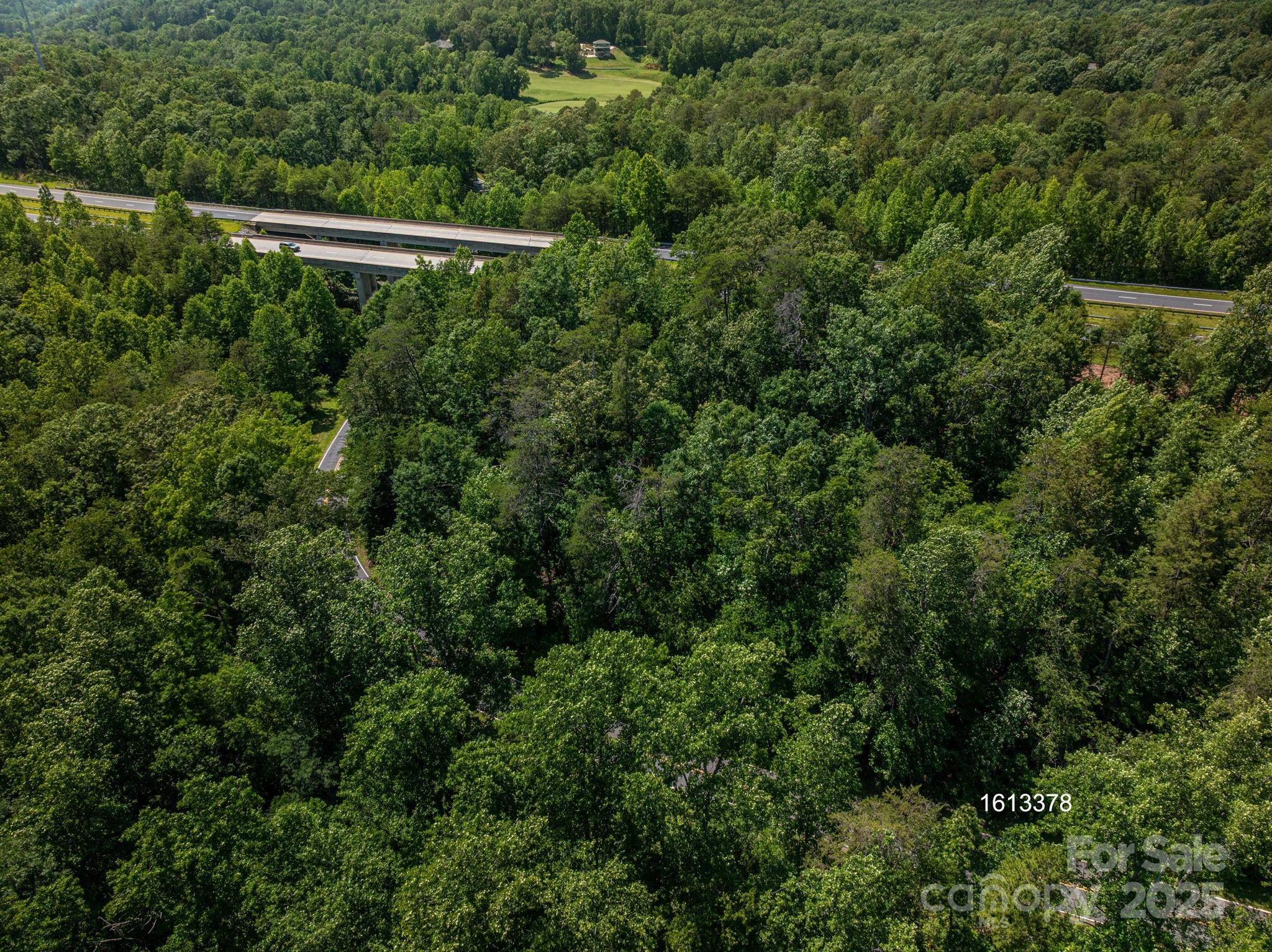 Lot #69 Cleghorn Mill Road Property Photo 9
