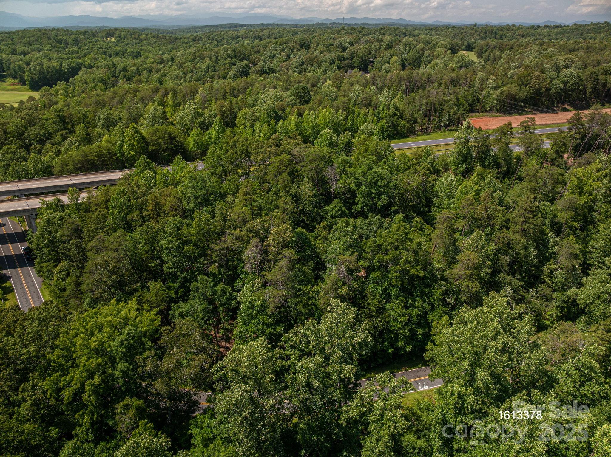 Lot #69 Cleghorn Mill Road Property Photo 12