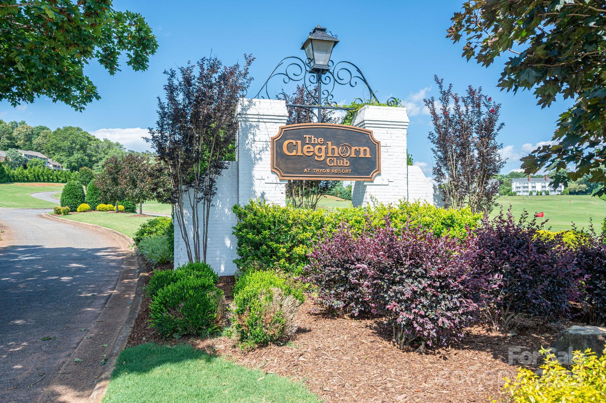 Lot #69 Cleghorn Mill Road Property Photo 14