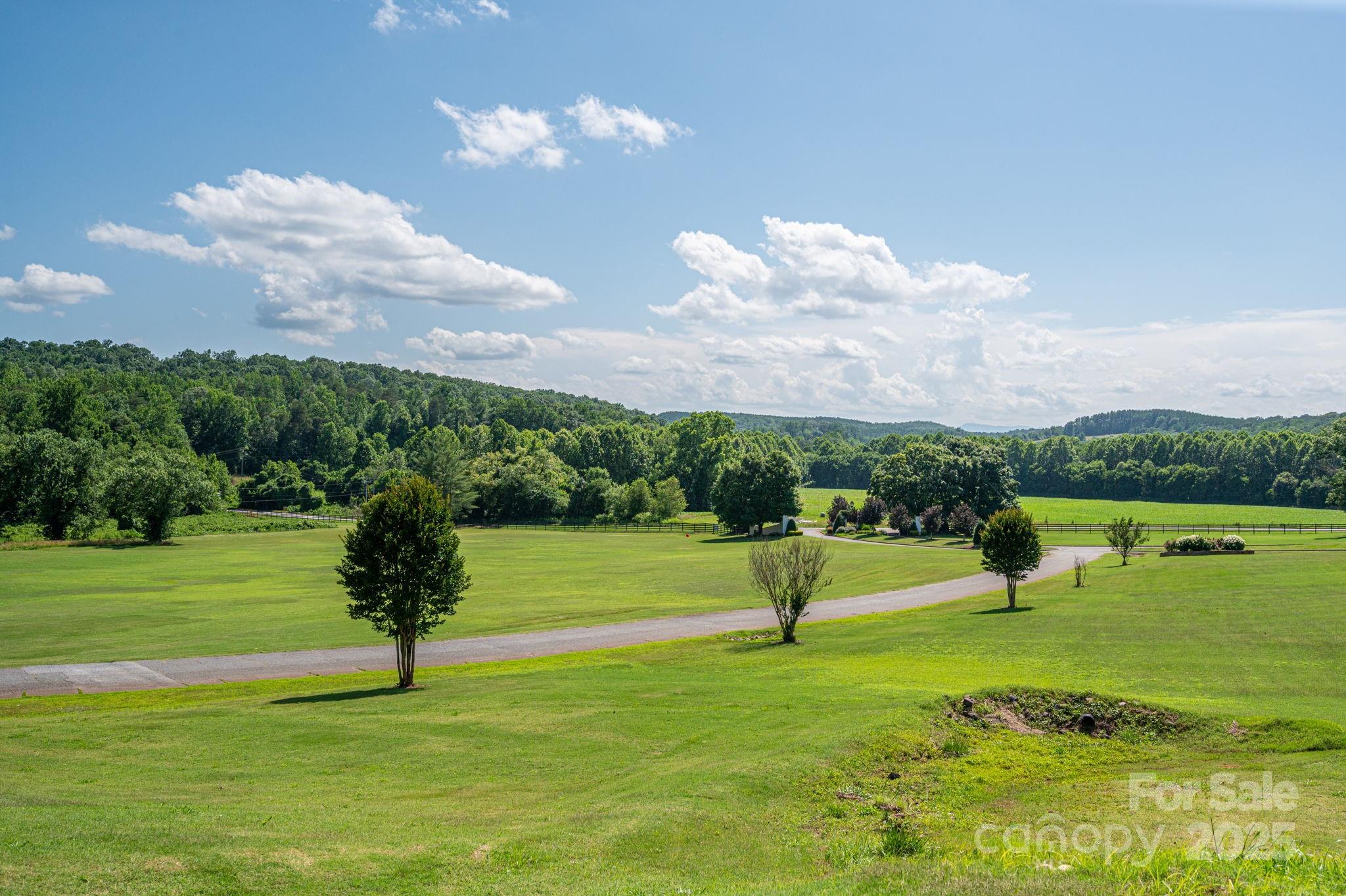 Lot #69 Cleghorn Mill Road Property Photo 18
