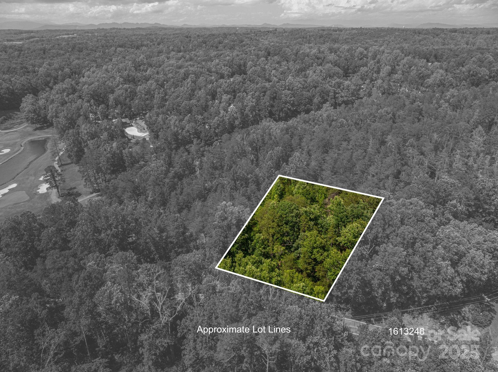 Lot 7 Cleghorn Mill Road Property Photo 1