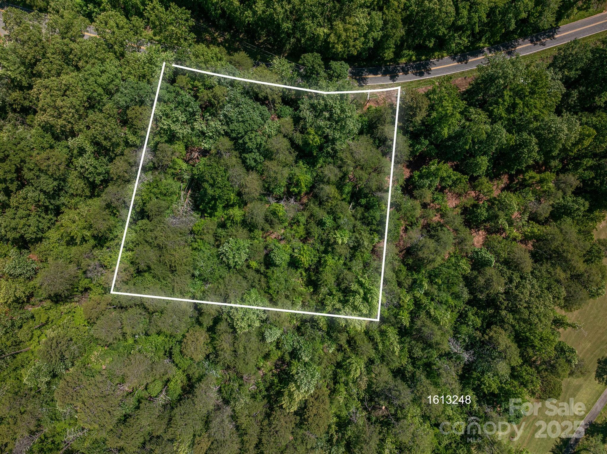 Lot 7 Cleghorn Mill Road Property Photo 7