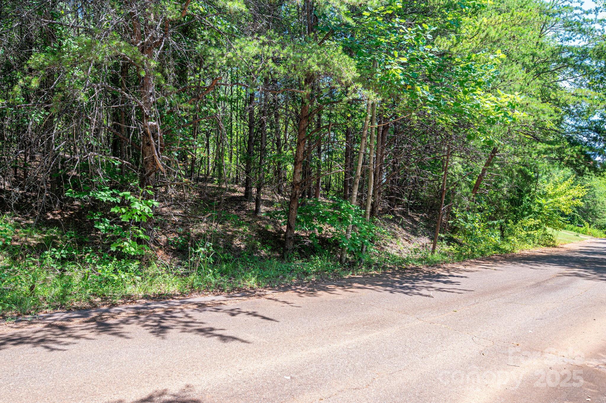 Lot 10 Meadow Crossing Drive Property Photo 4