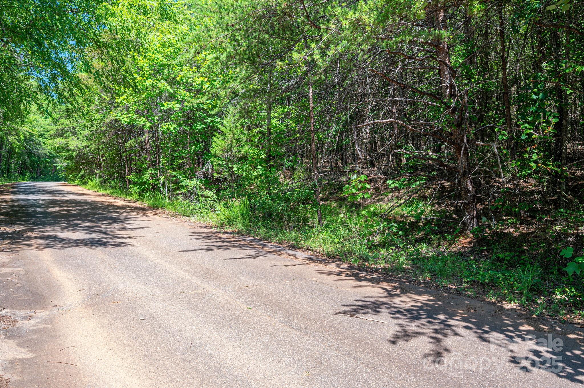 Lot 10 Meadow Crossing Drive Property Photo 5