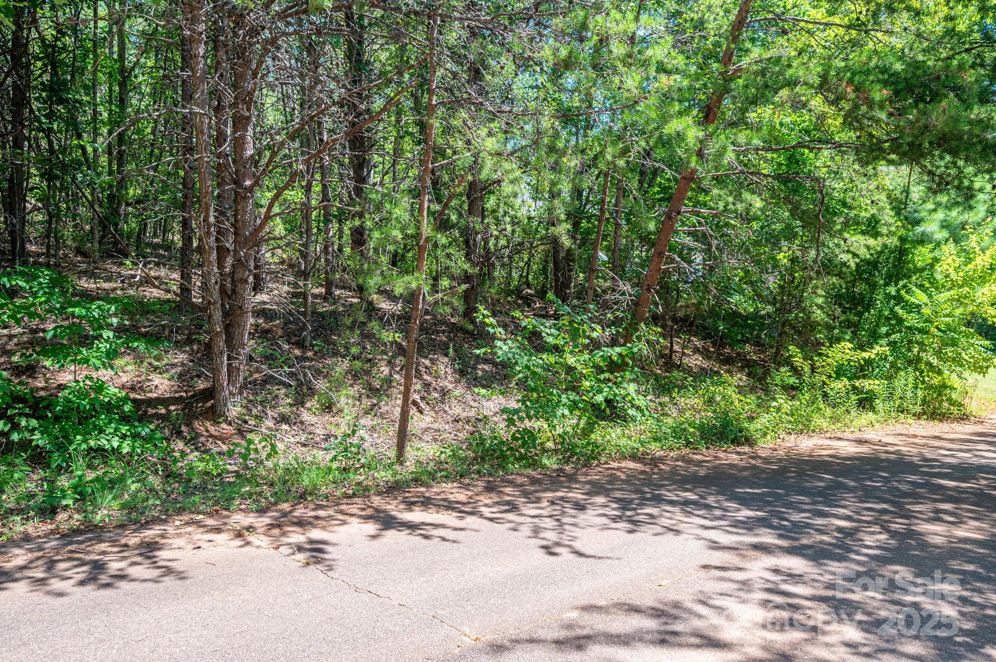 Lot 10 Meadow Crossing Drive Property Photo 7