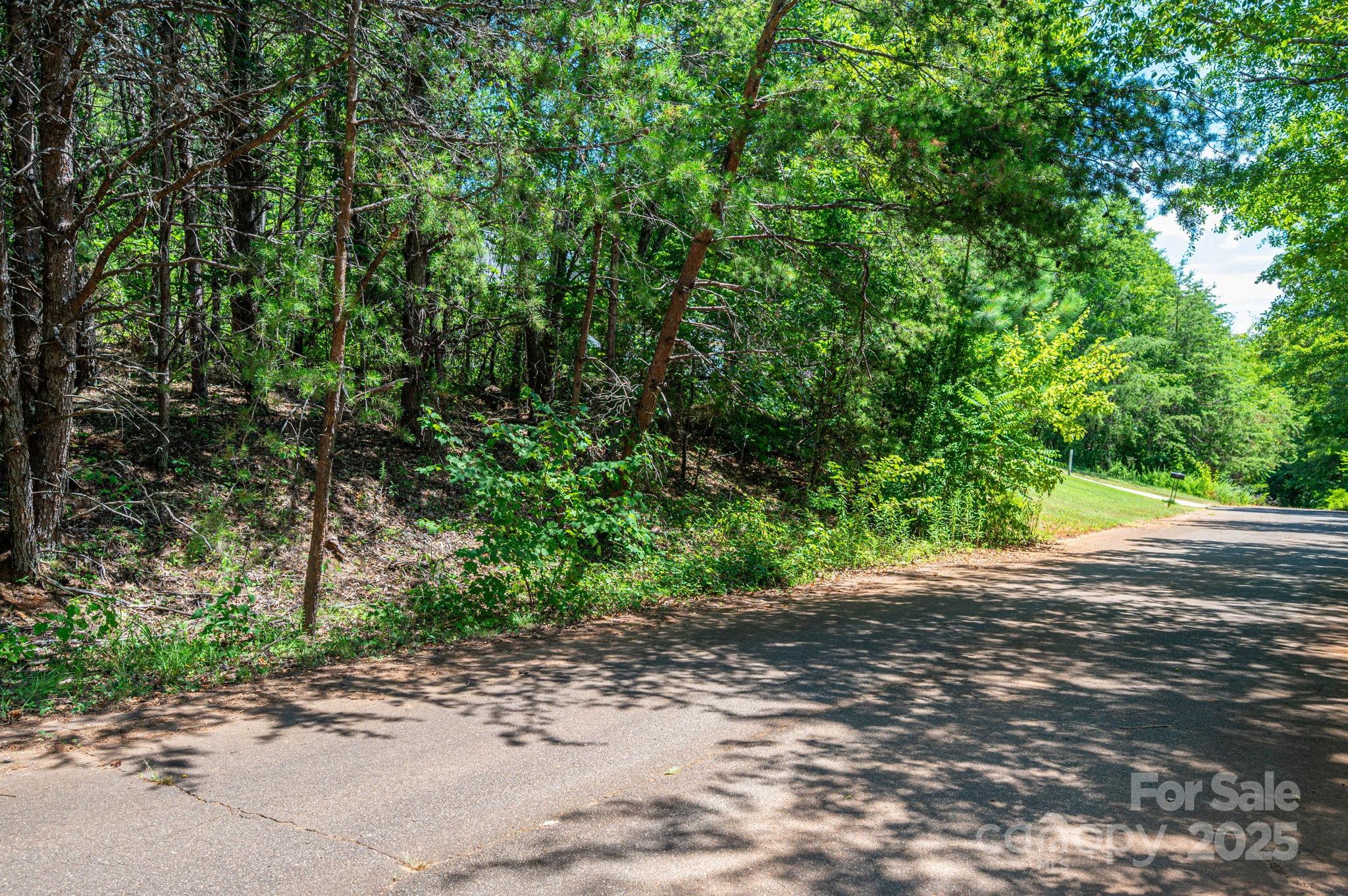 Lot 10 Meadow Crossing Drive Property Photo 8