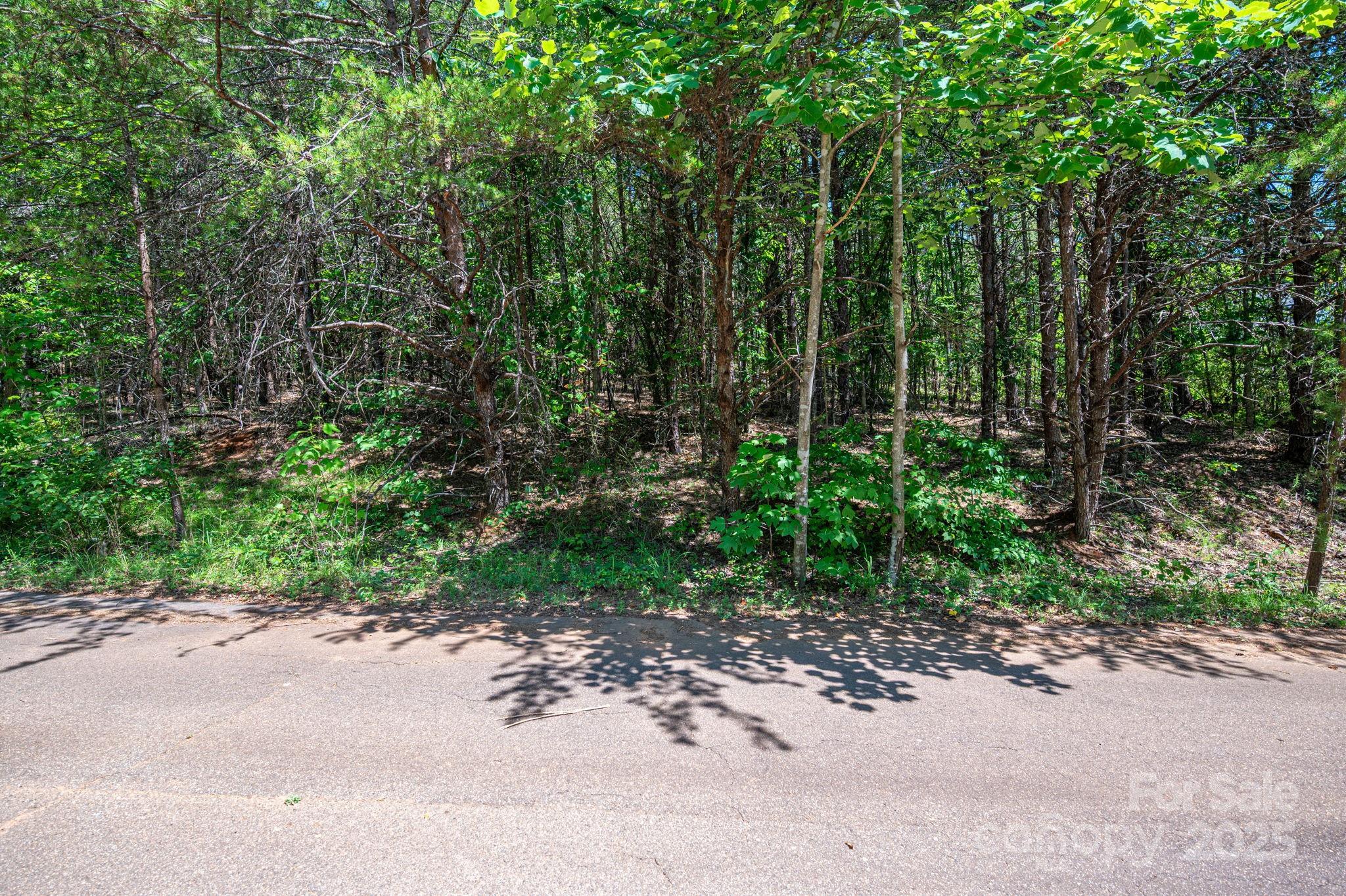 Lot 10 Meadow Crossing Drive Property Photo 9