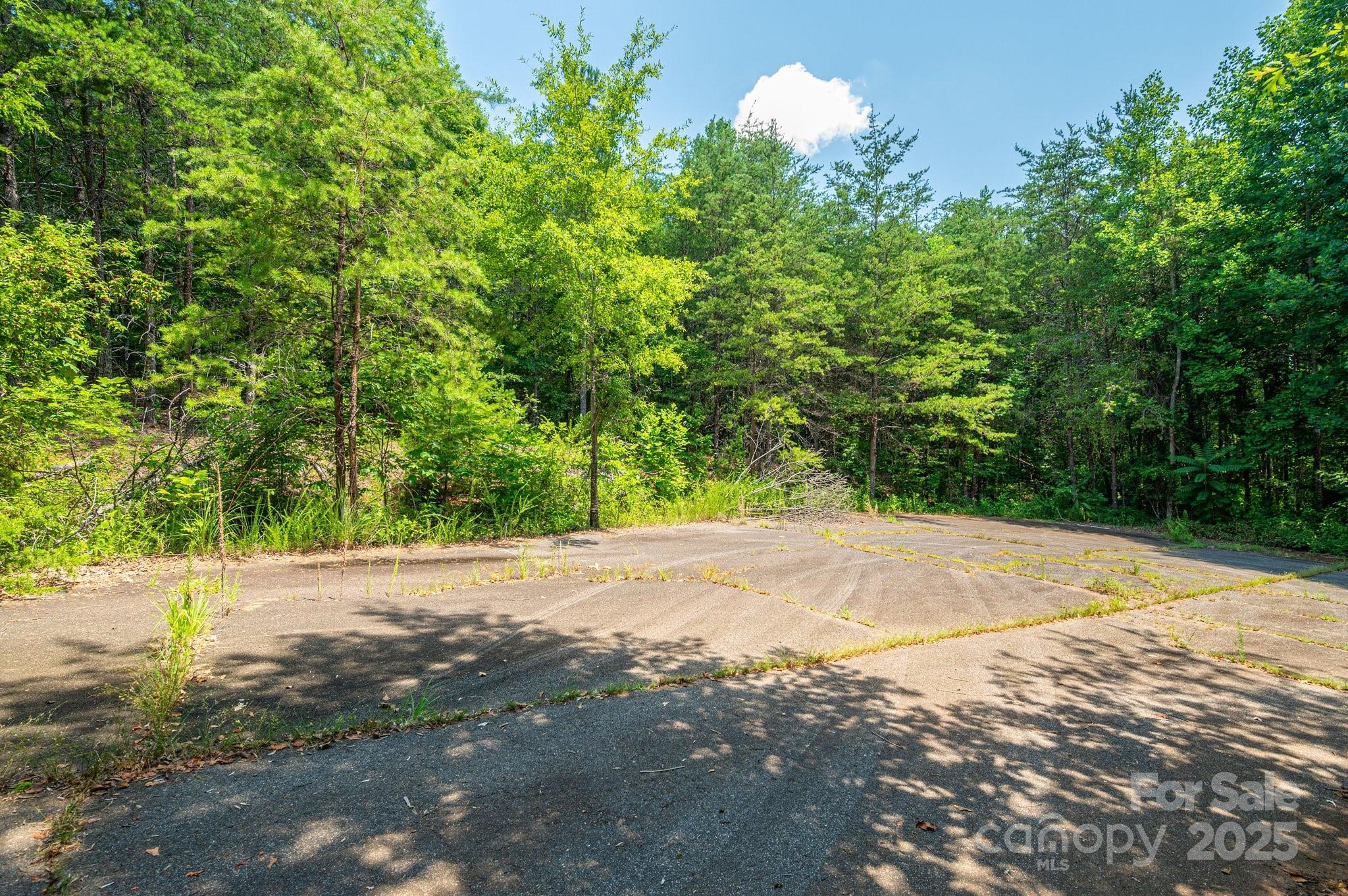 0 Meadow Crossing Drive Property Photo 1