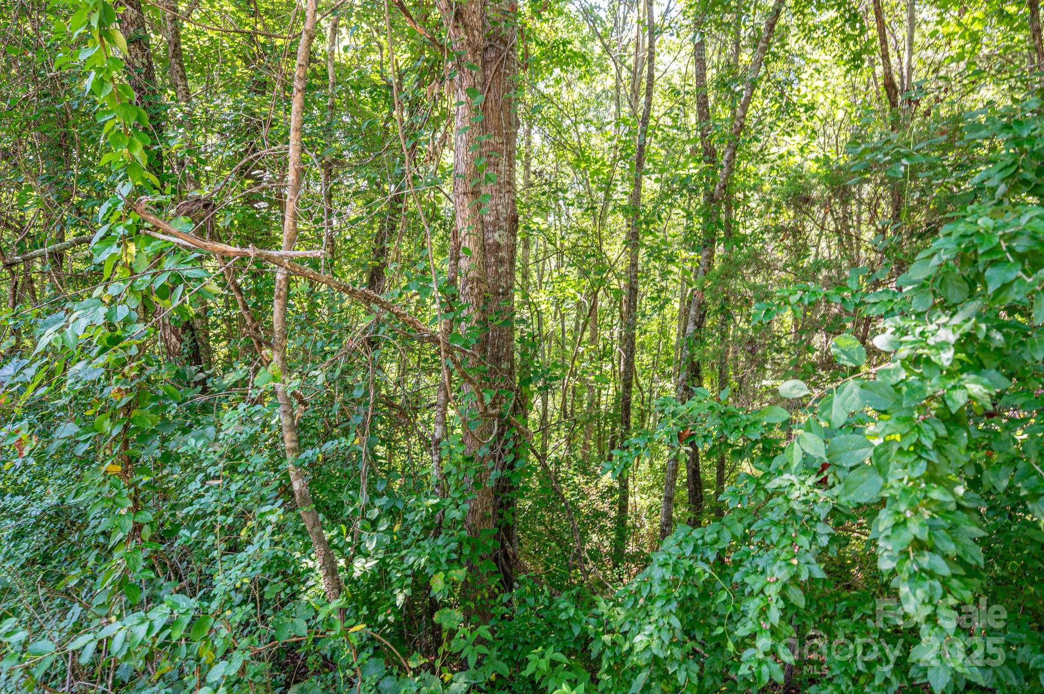 Lot # 16 Meadow Crossing Drive Property Photo 2